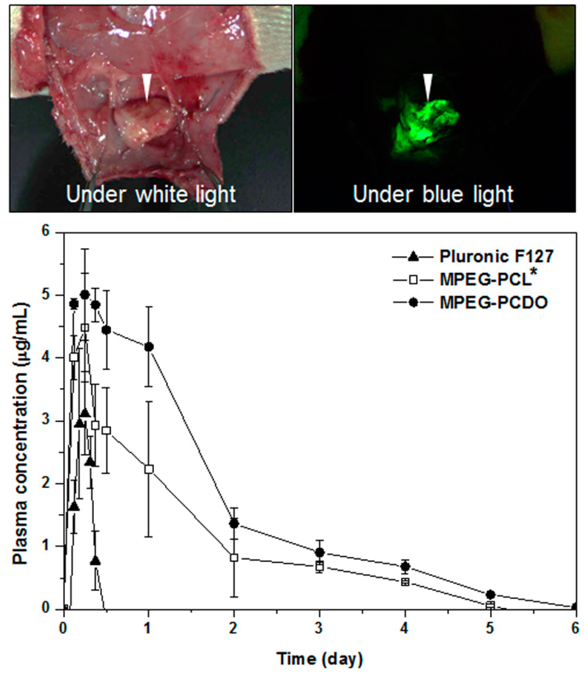 Polymers 06 02670 g006