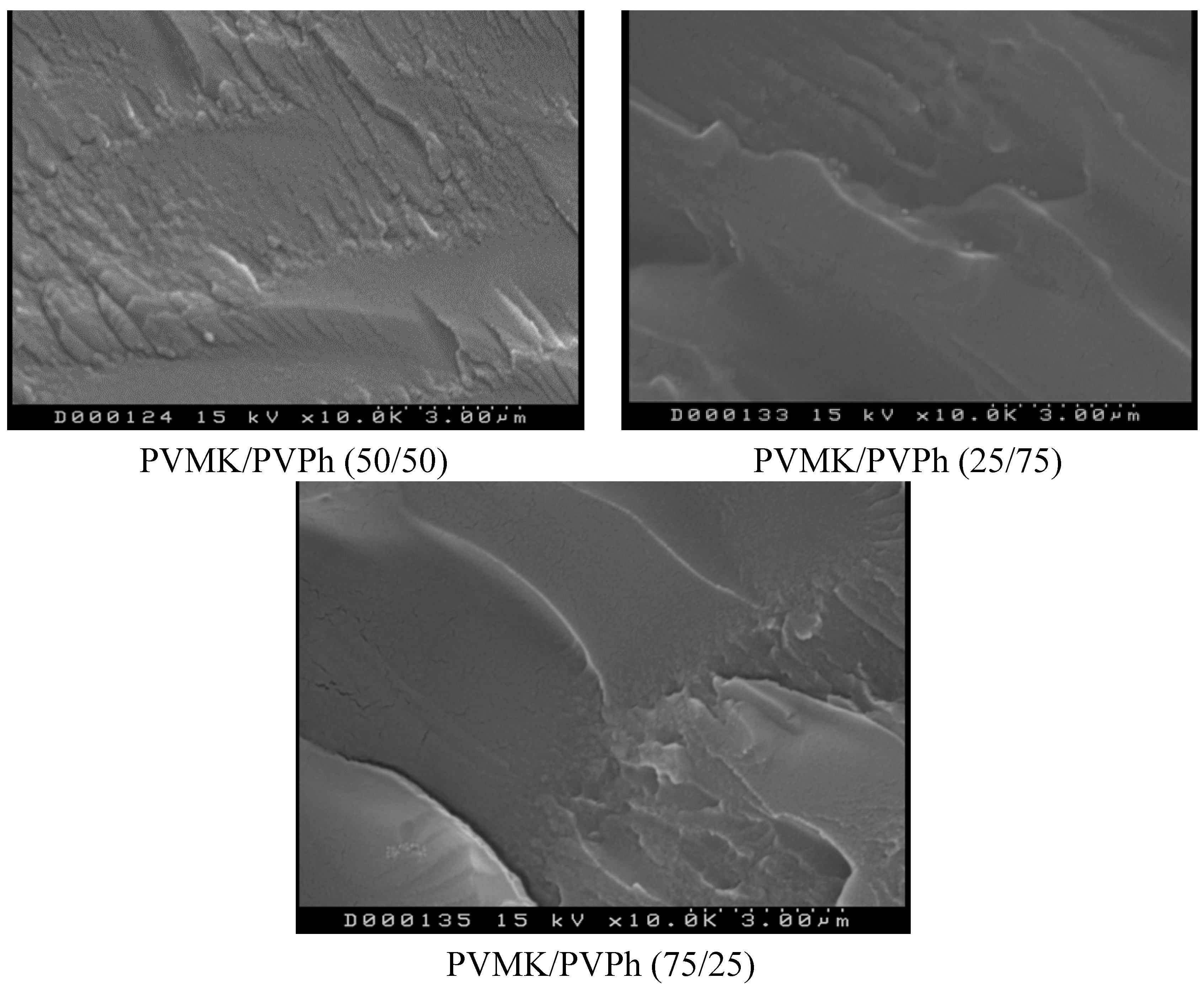 Polymers 06 02752 g007 1024