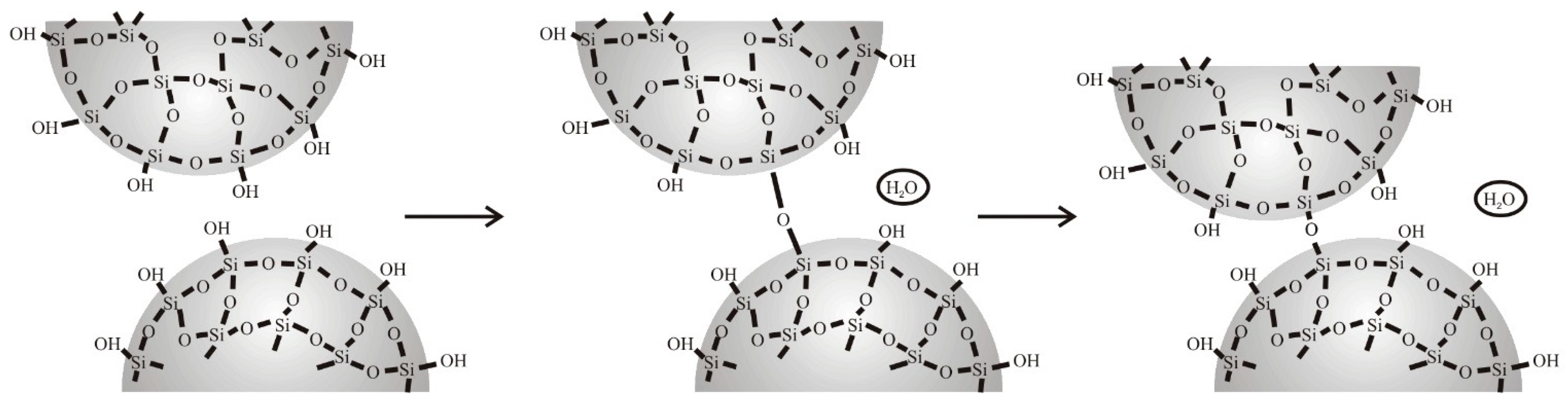 Polymers 06 02896 g003 1024