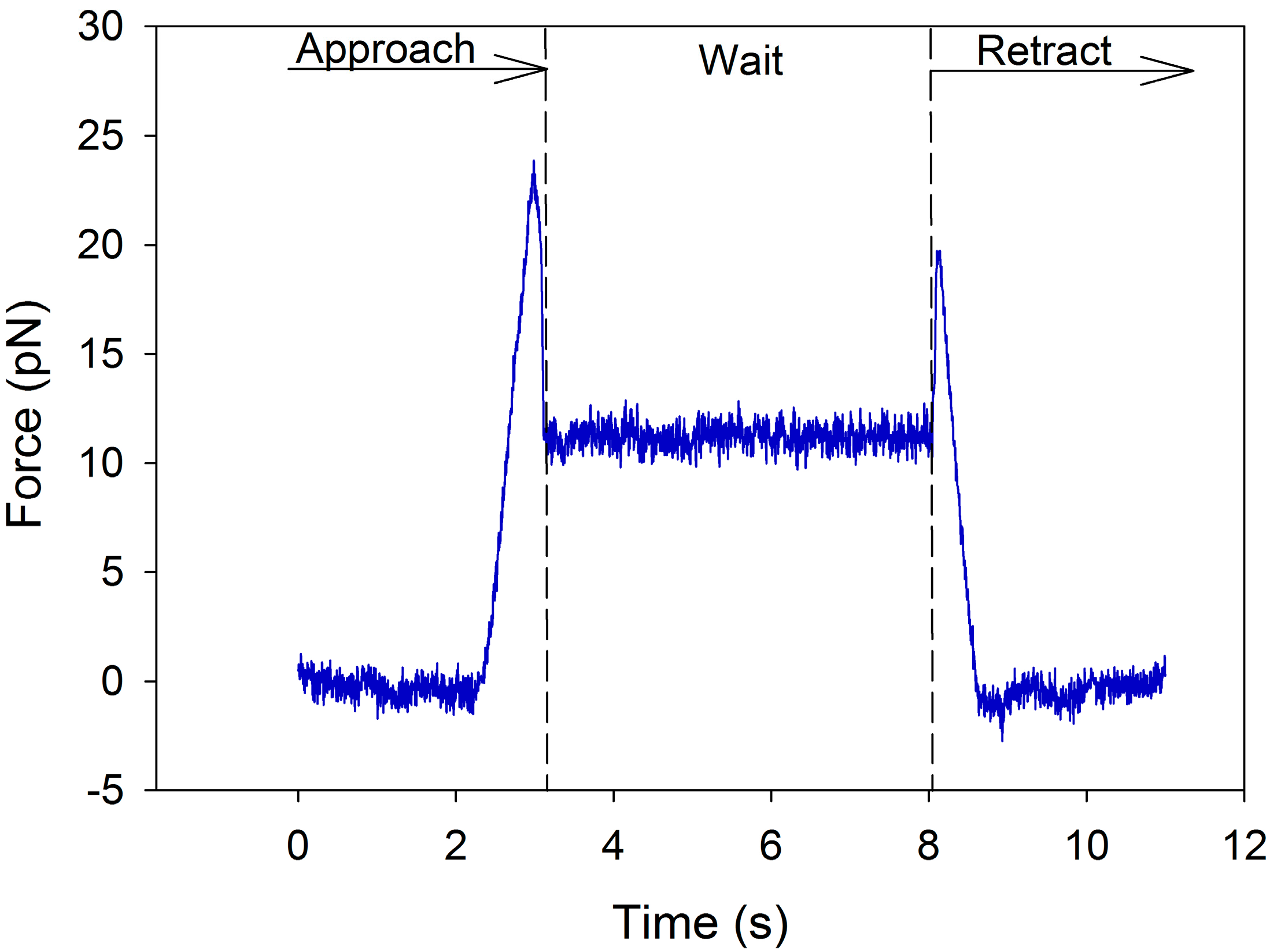 Polymers 07 00552 g005