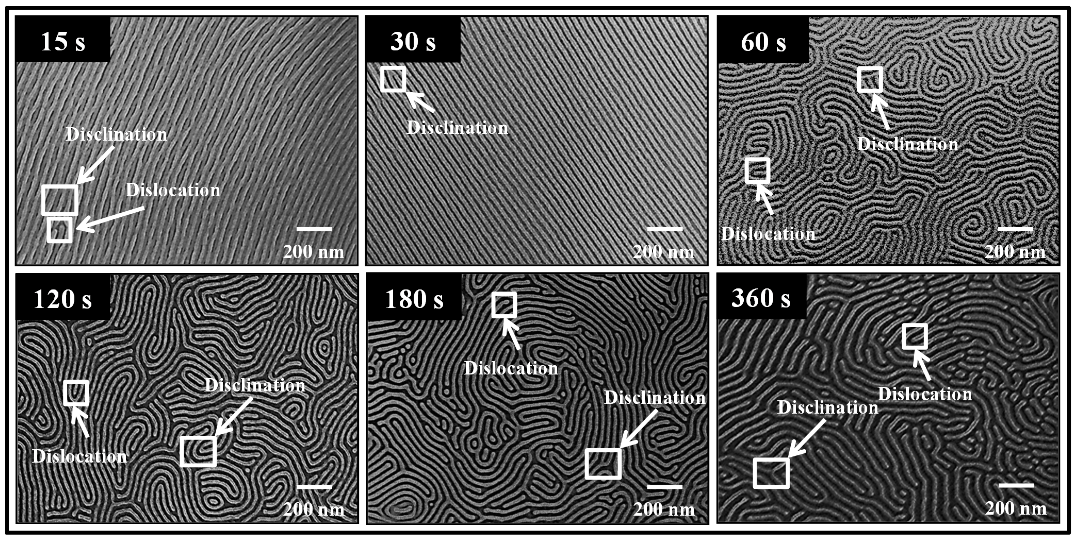 Polymers 07 00592 g002