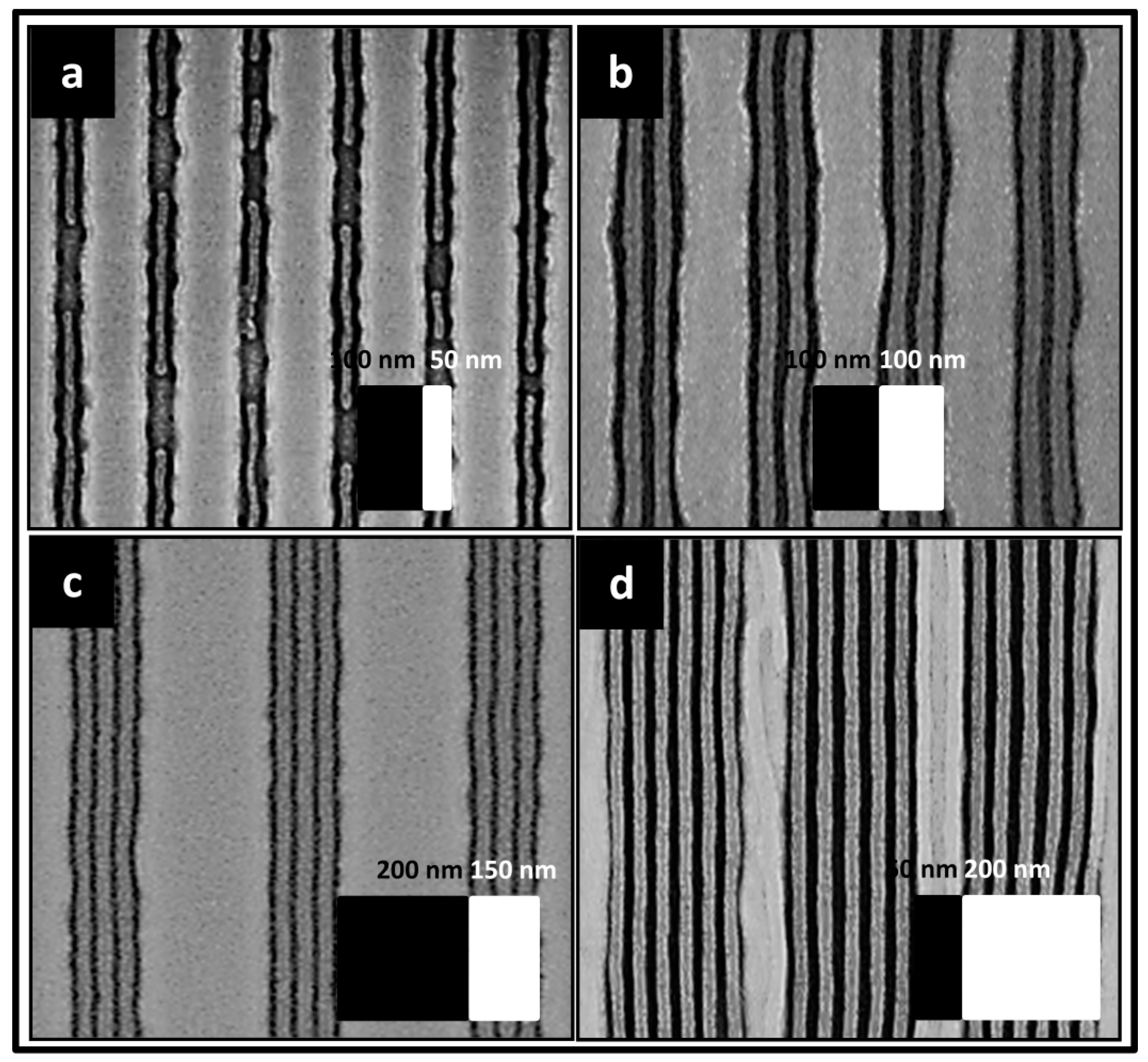 Polymers 07 00592 g005