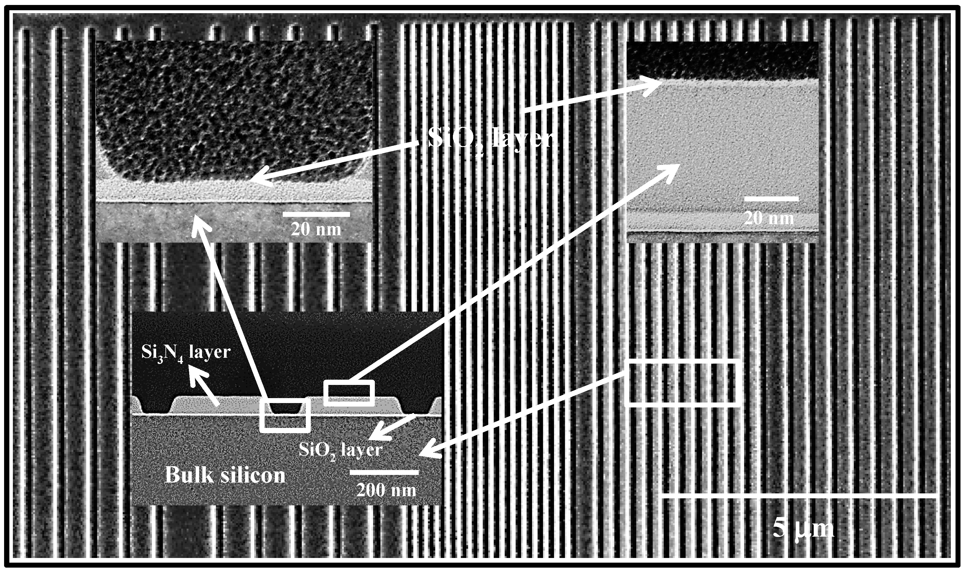Polymers 07 00592 g009