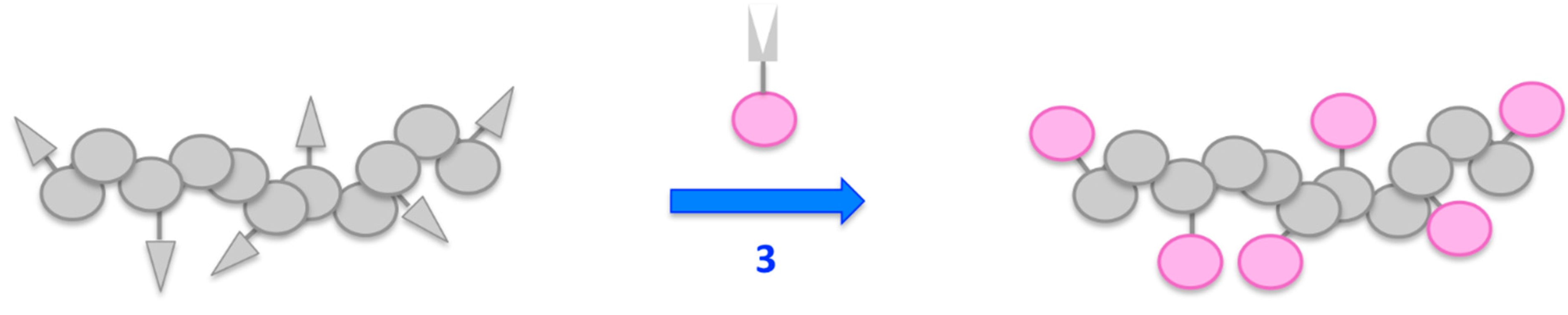 Polymers 07 00717 g007
