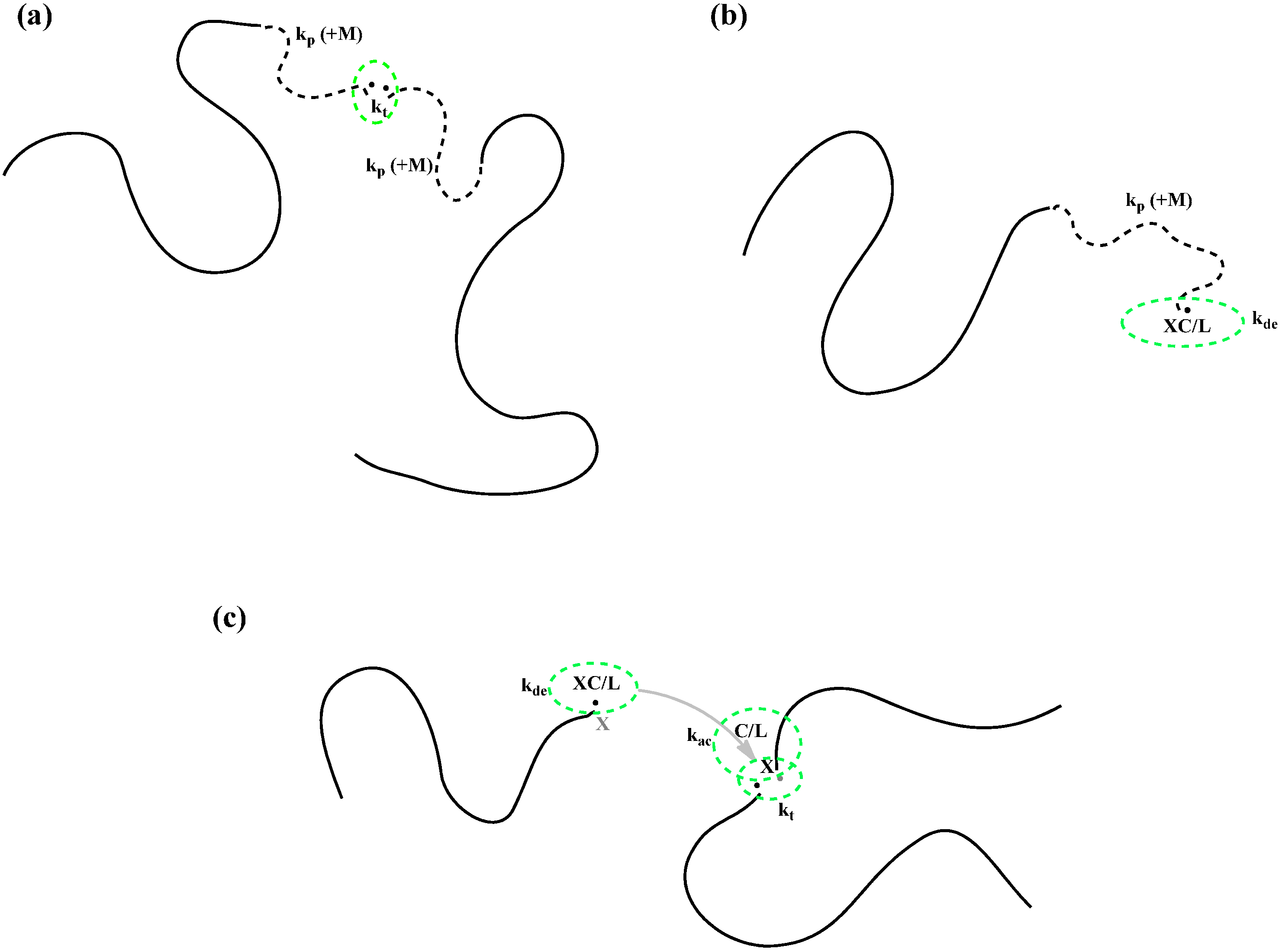 Polymers 07 00819 g007 1024