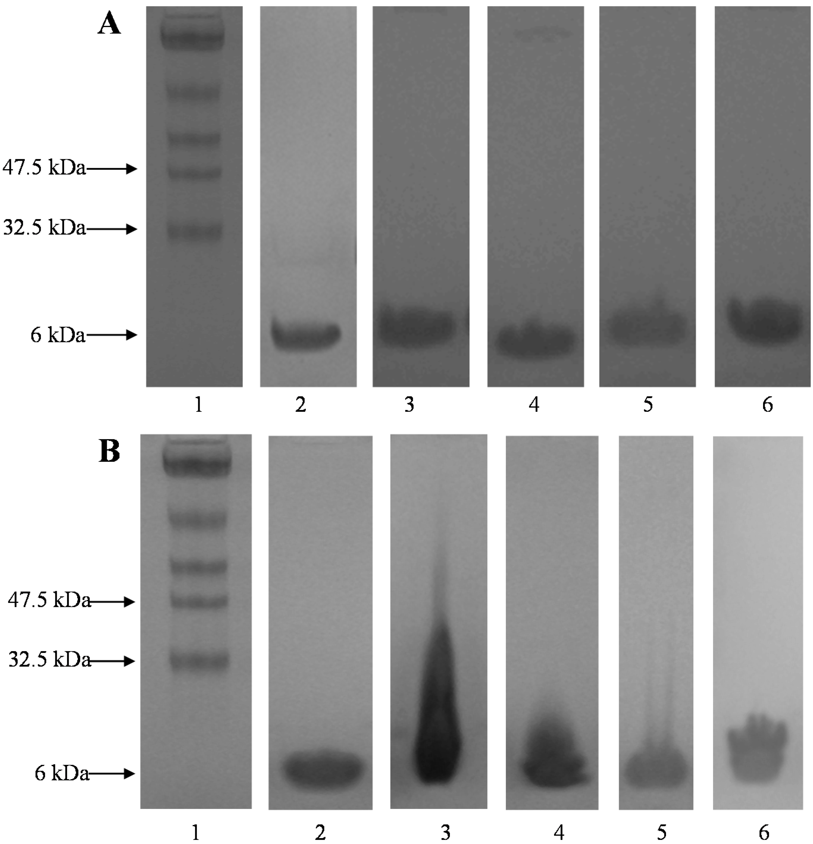 Polymers 07 00836 g003 1024