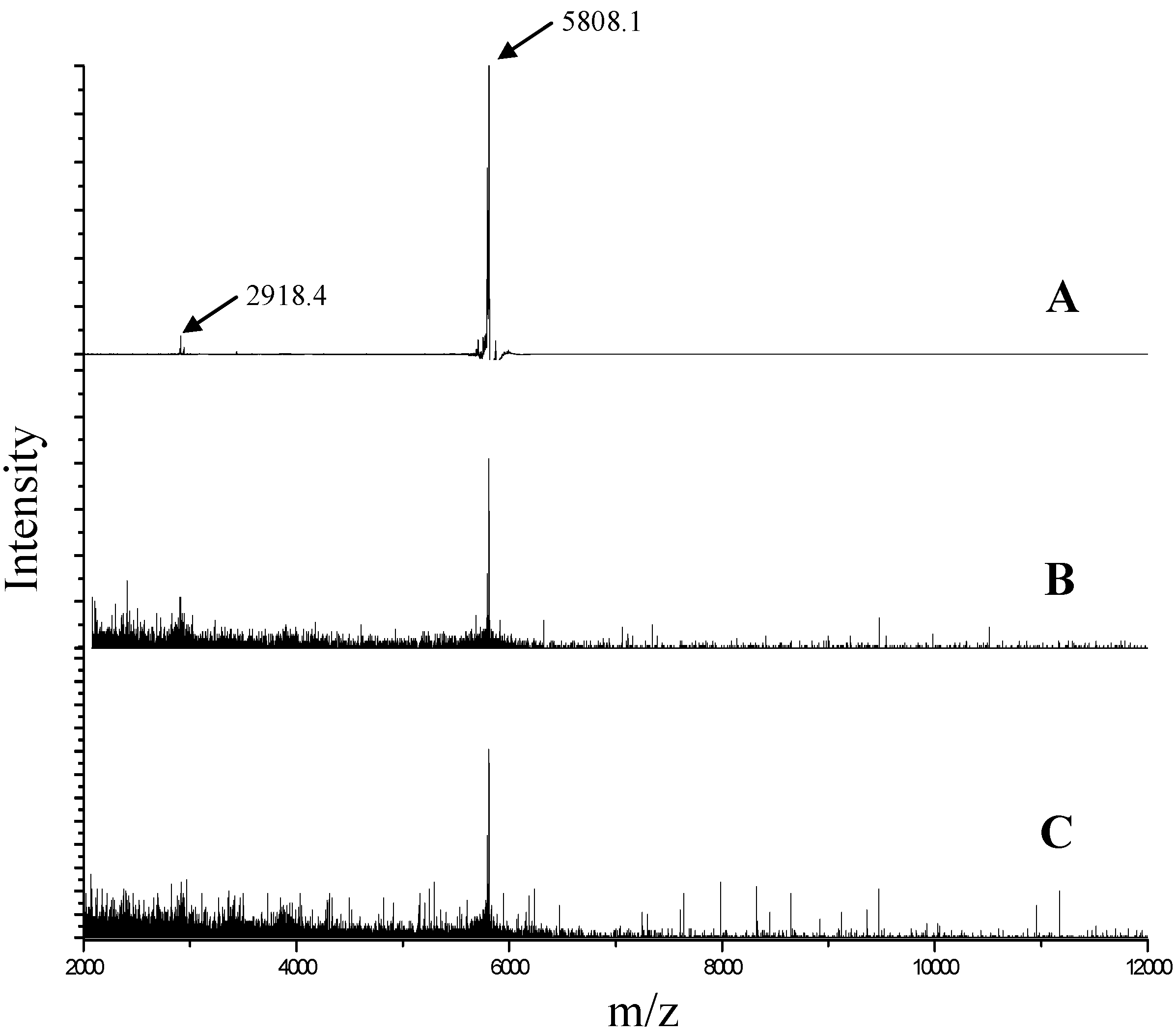Polymers 07 00836 g006 1024