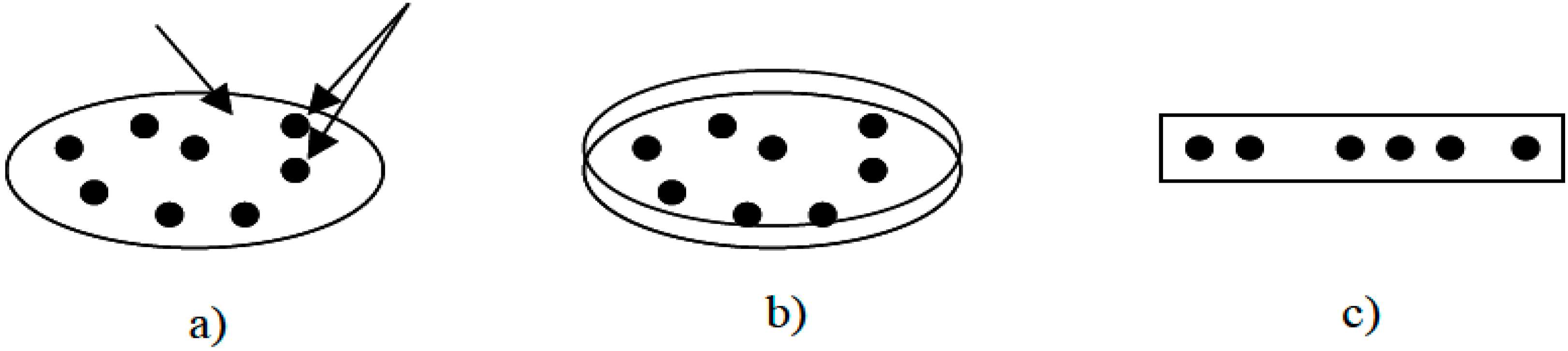Polymers 07 00939 g002