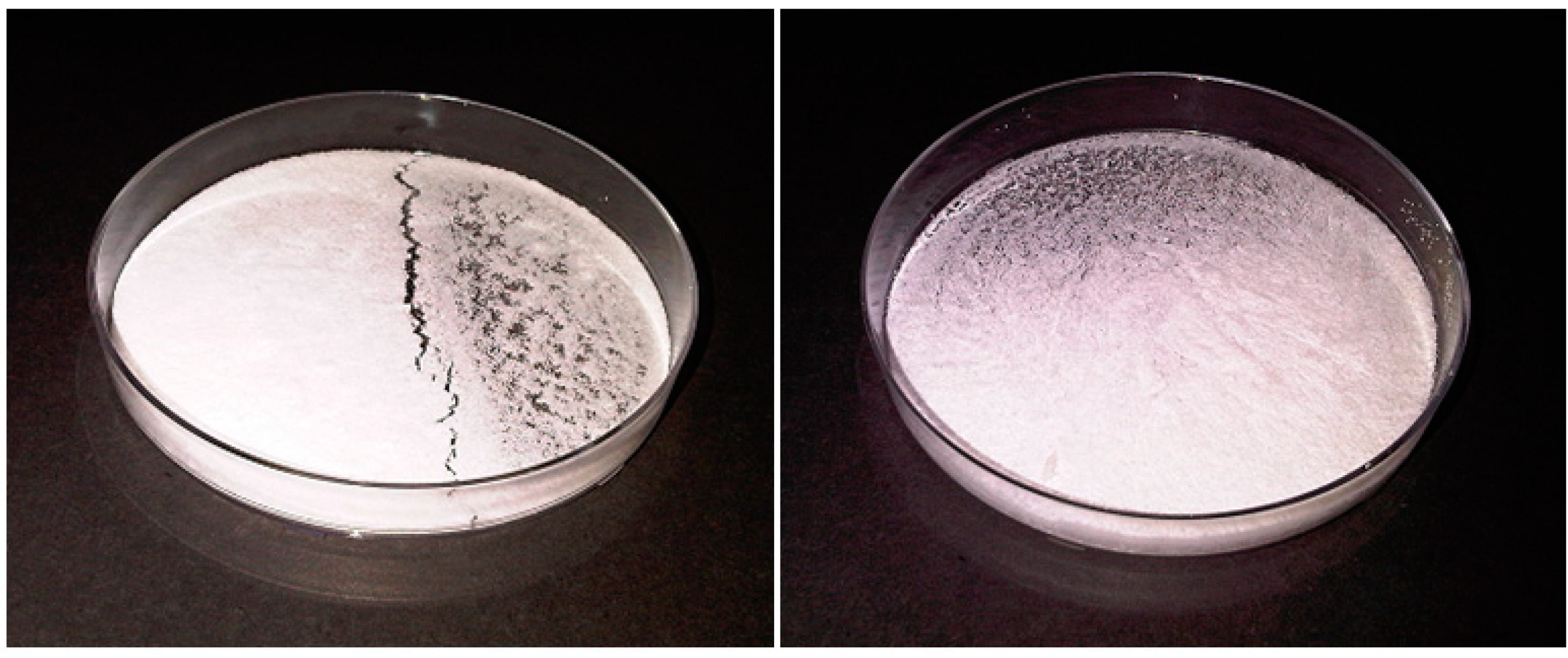 Polymers 07 01145 g002 1024