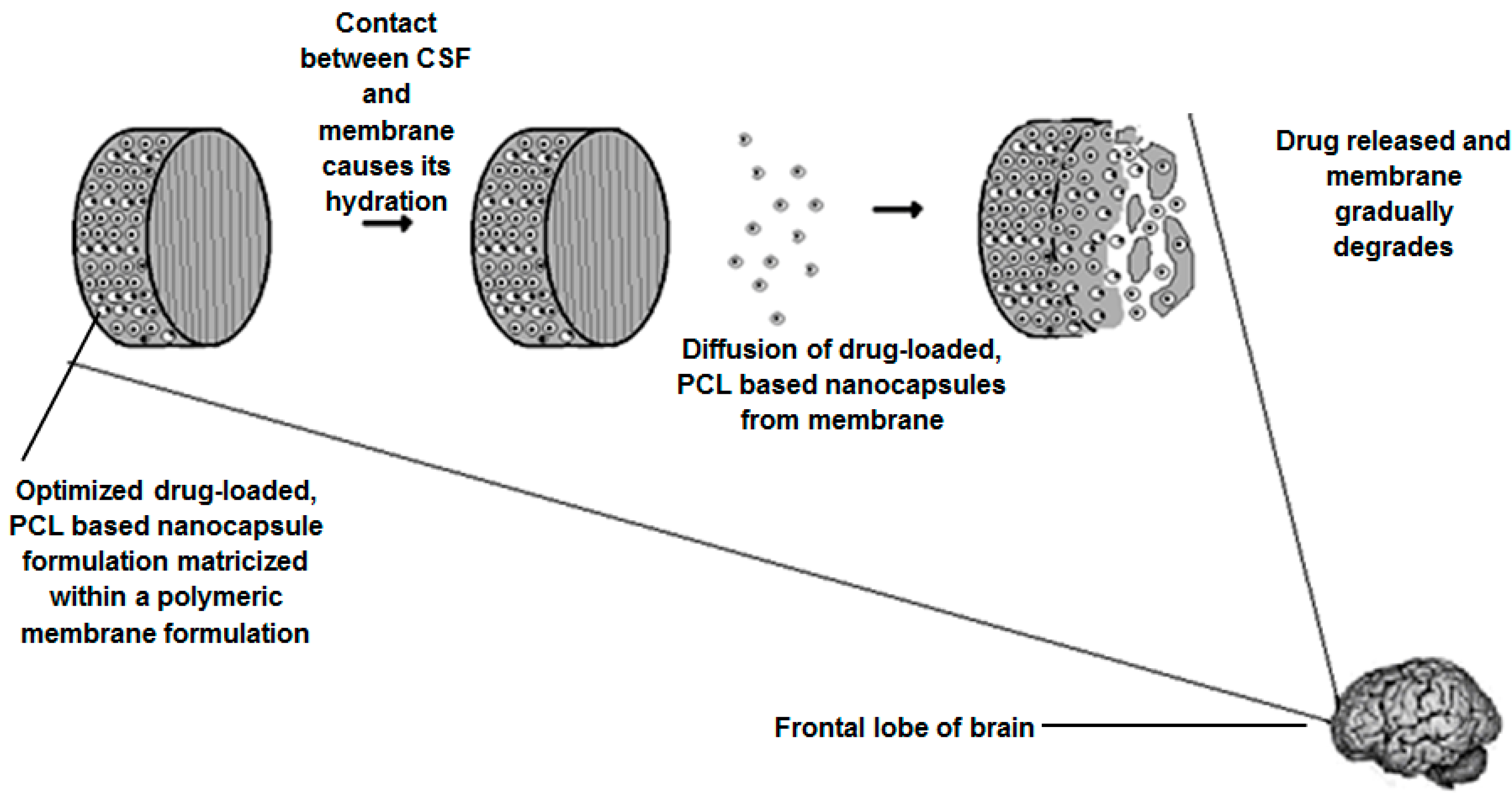 Polymers 07 01145 g017 1024