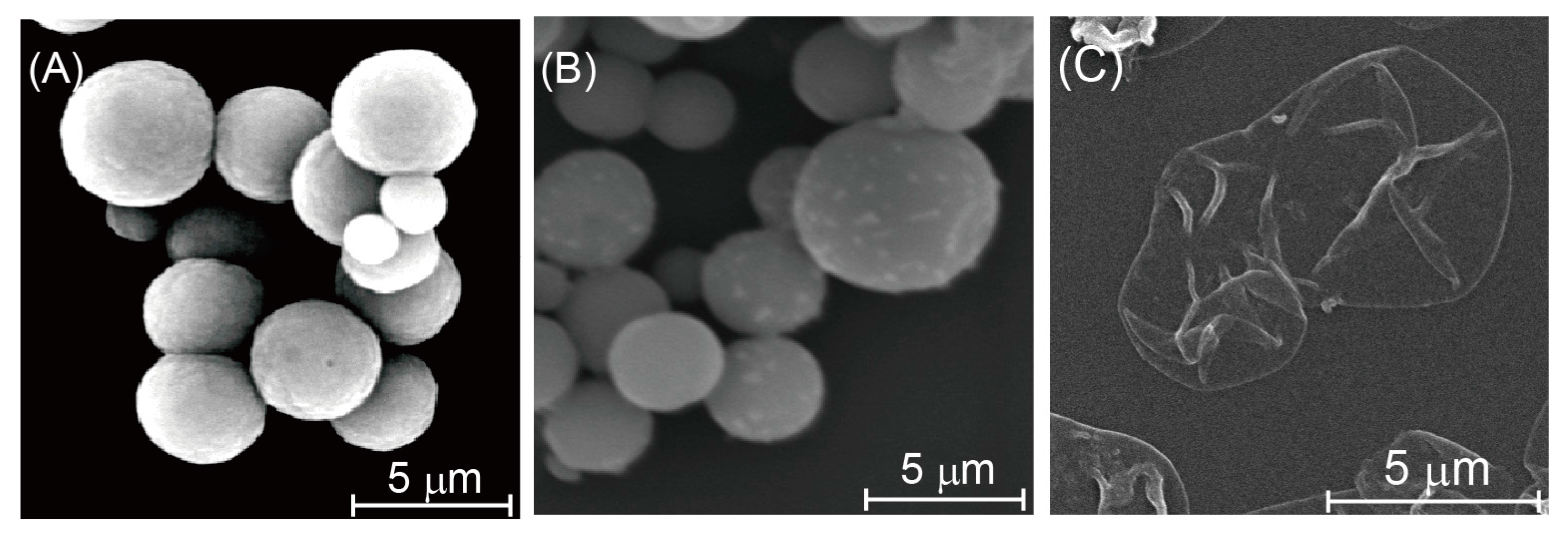 Polymers 07 01269 g003 1024