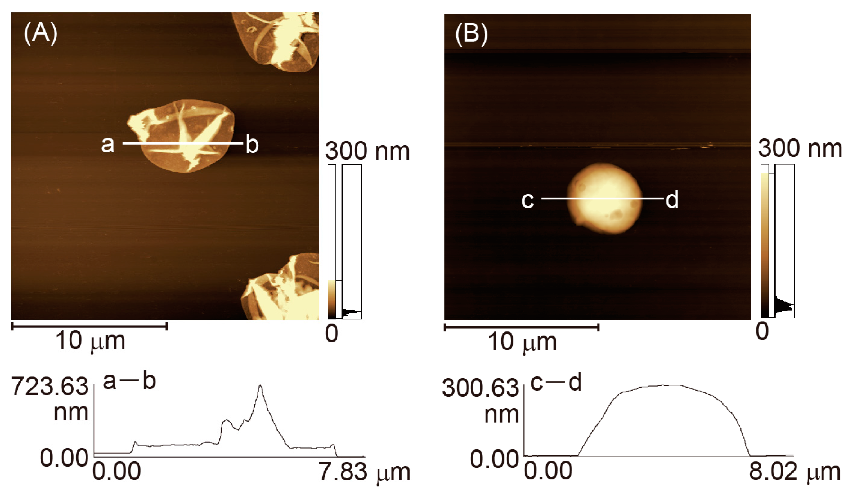 Polymers 07 01269 g004 1024