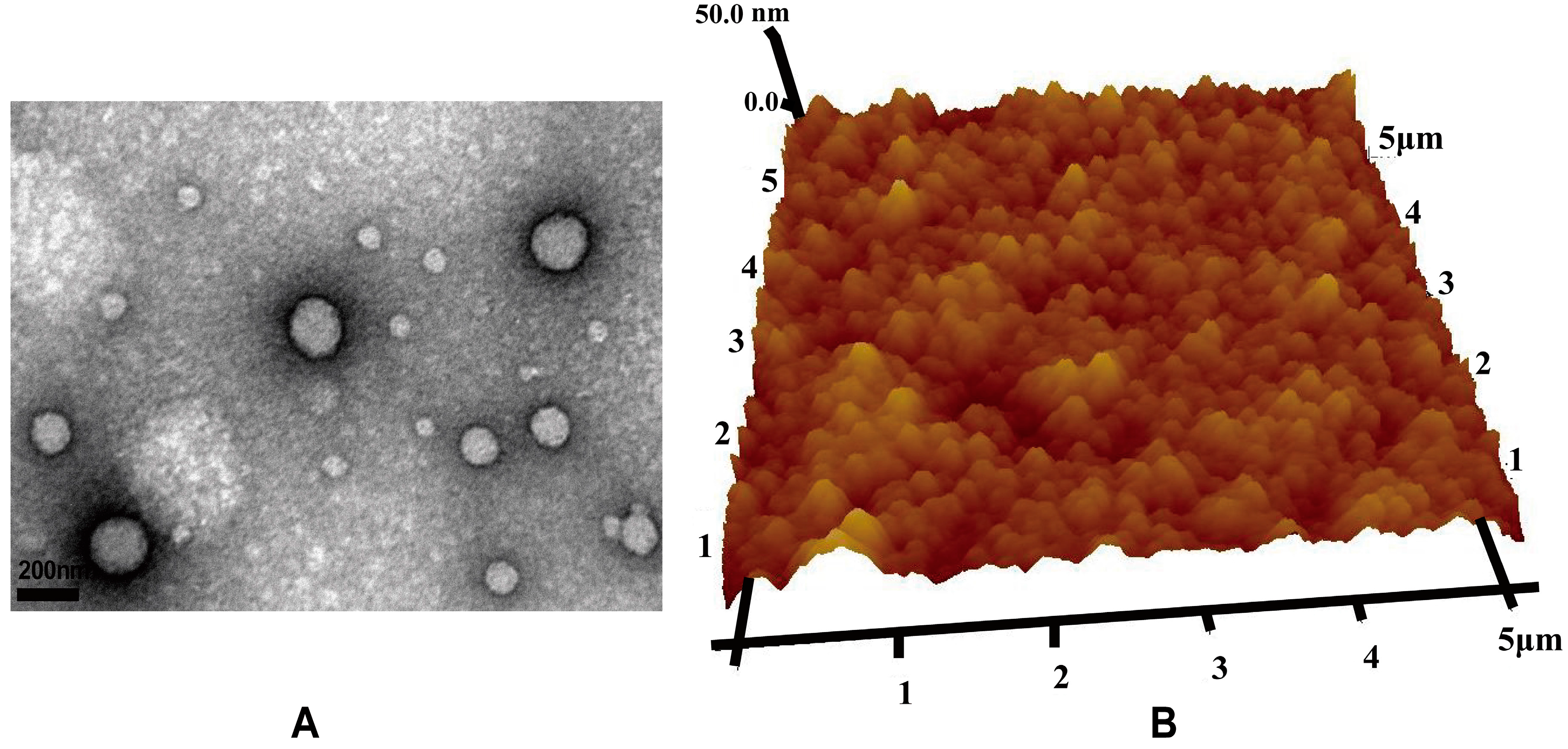 Polymers 07 01488 g005 1024