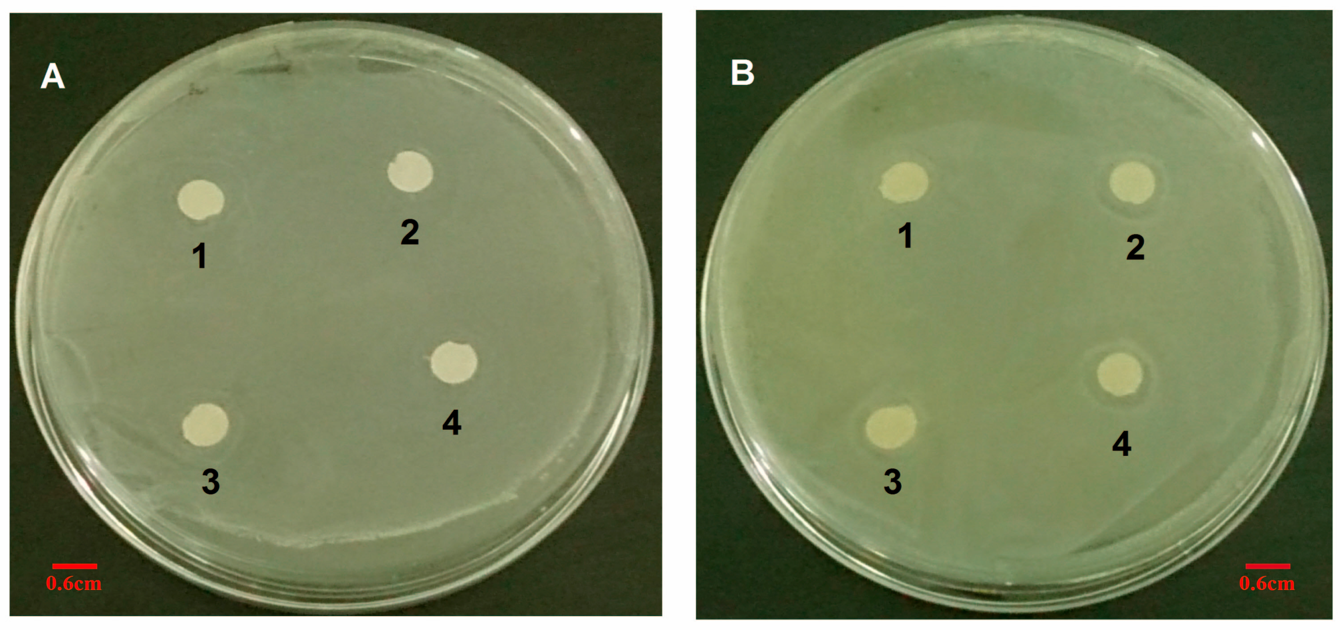 Polymers 07 01488 g013 1024
