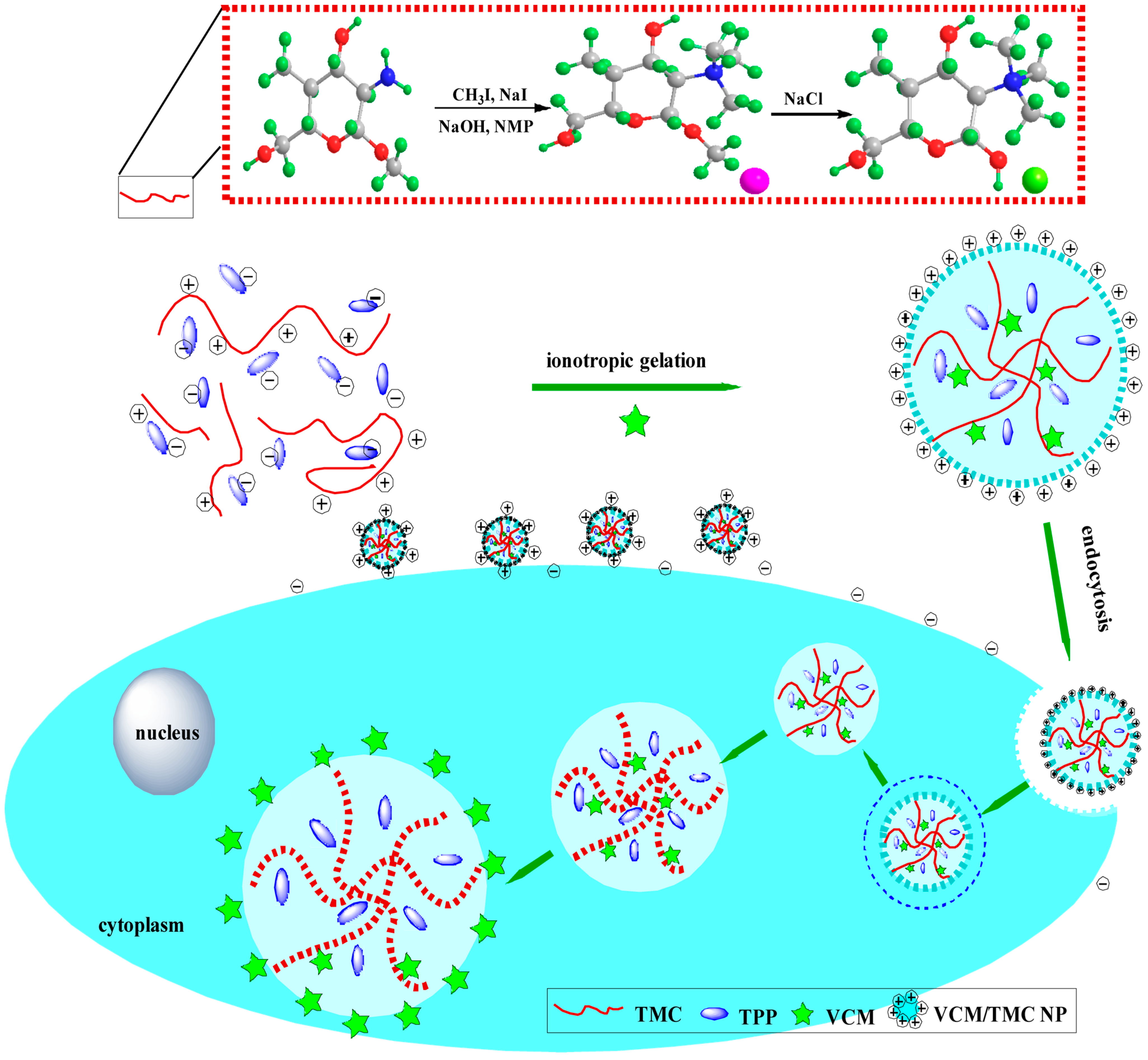 Polymers 07 01488 g015 1024