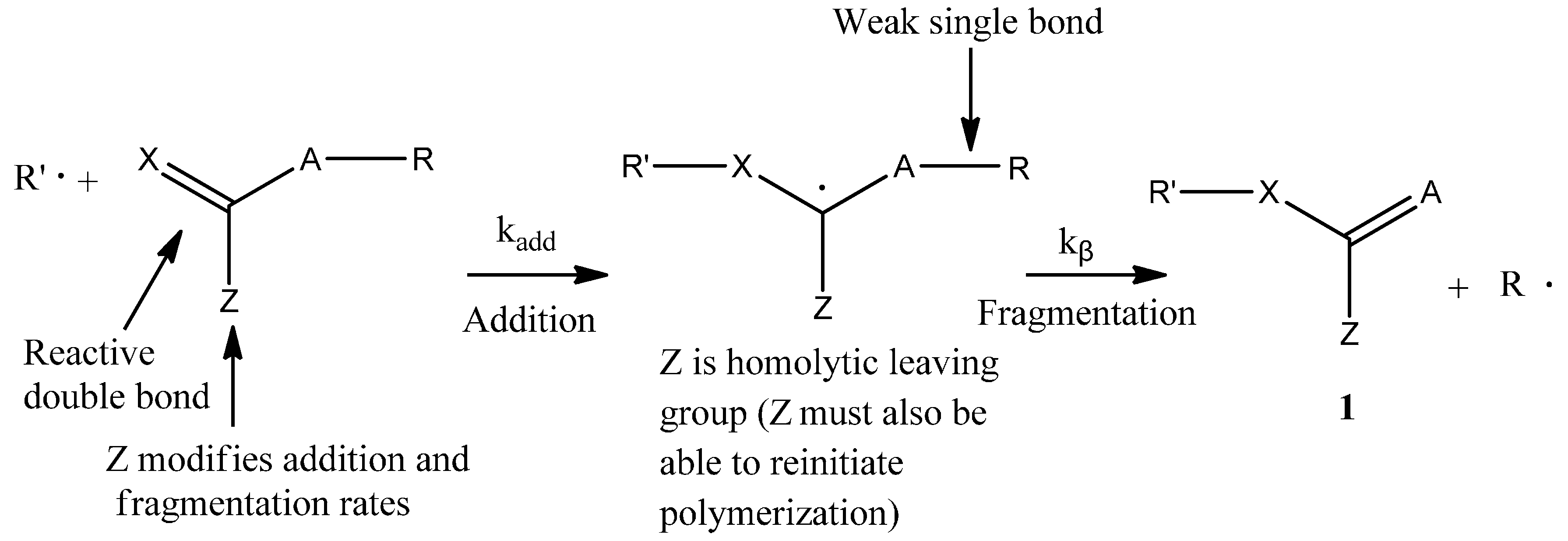 Polymers 07 01490 g014 1024