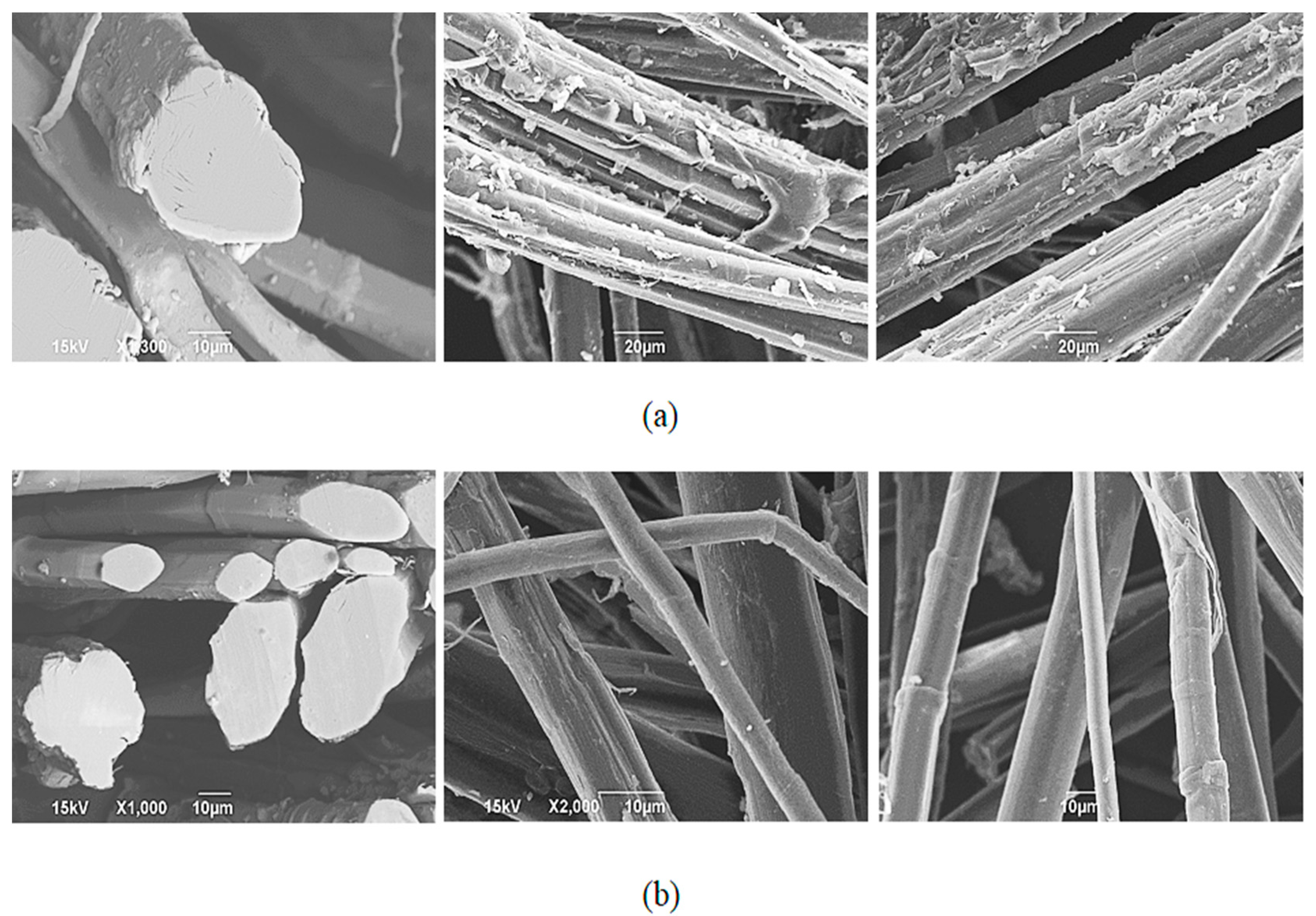 Polymers 07 01493 g002