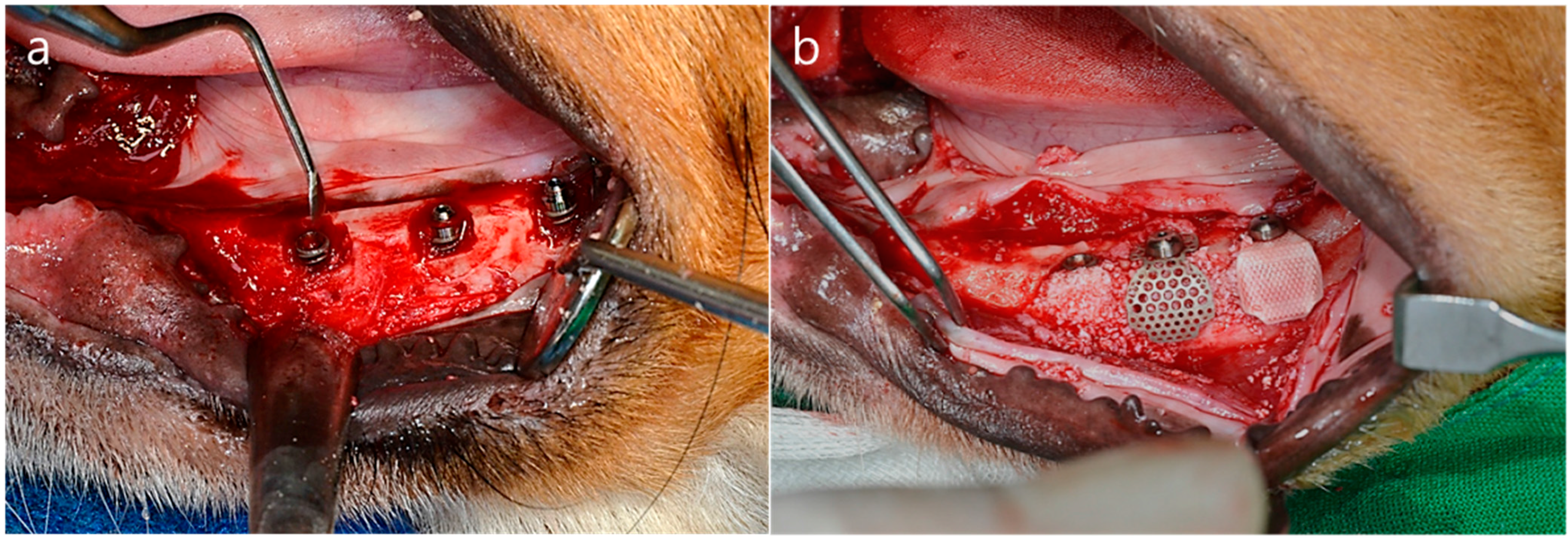 Polymers 07 01500 g003 1024