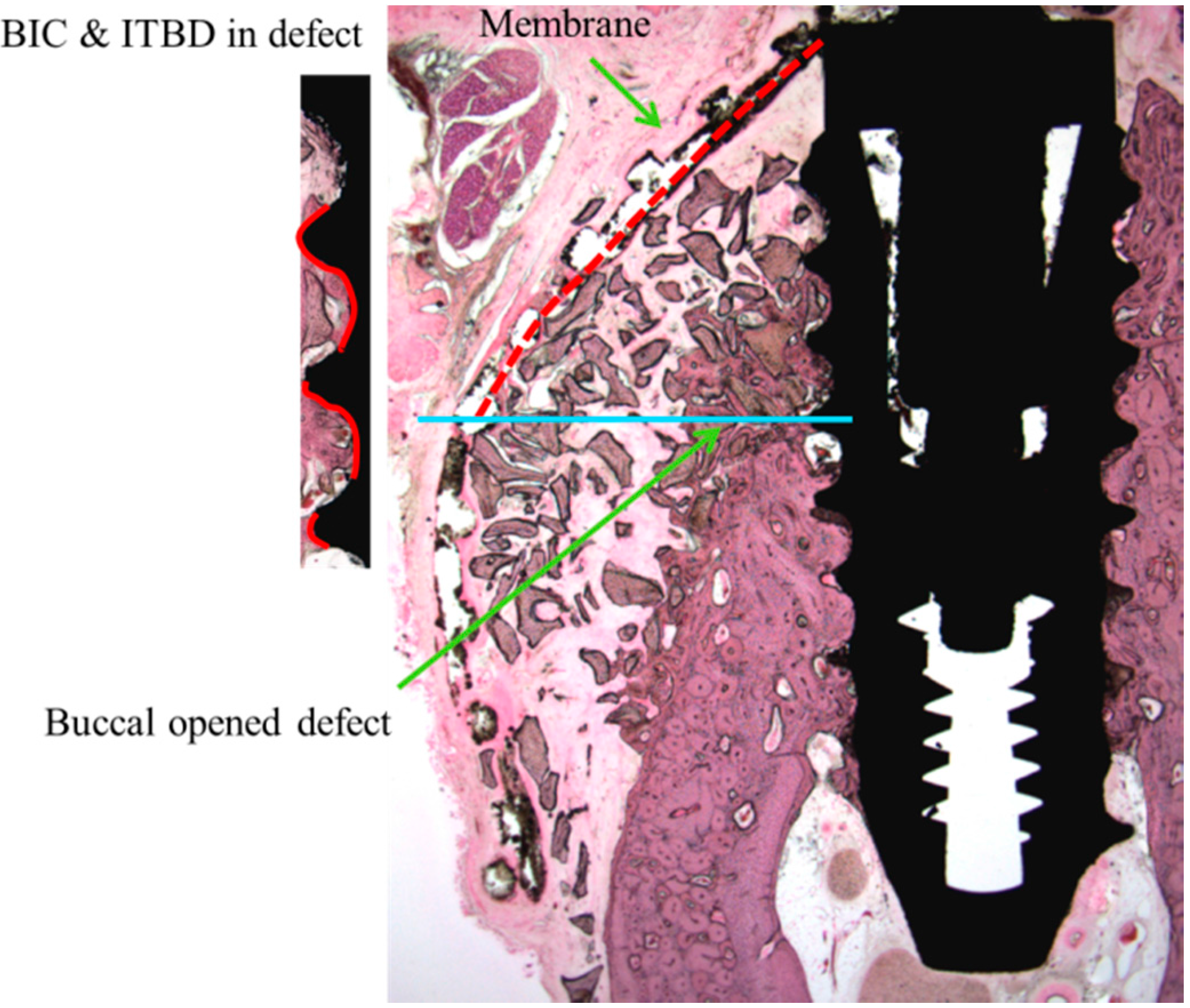 Polymers 07 01500 g004 1024