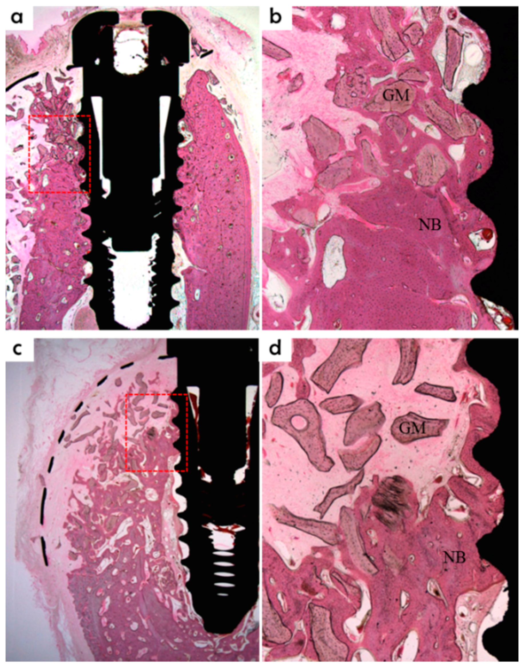 Polymers 07 01500 g013 1024