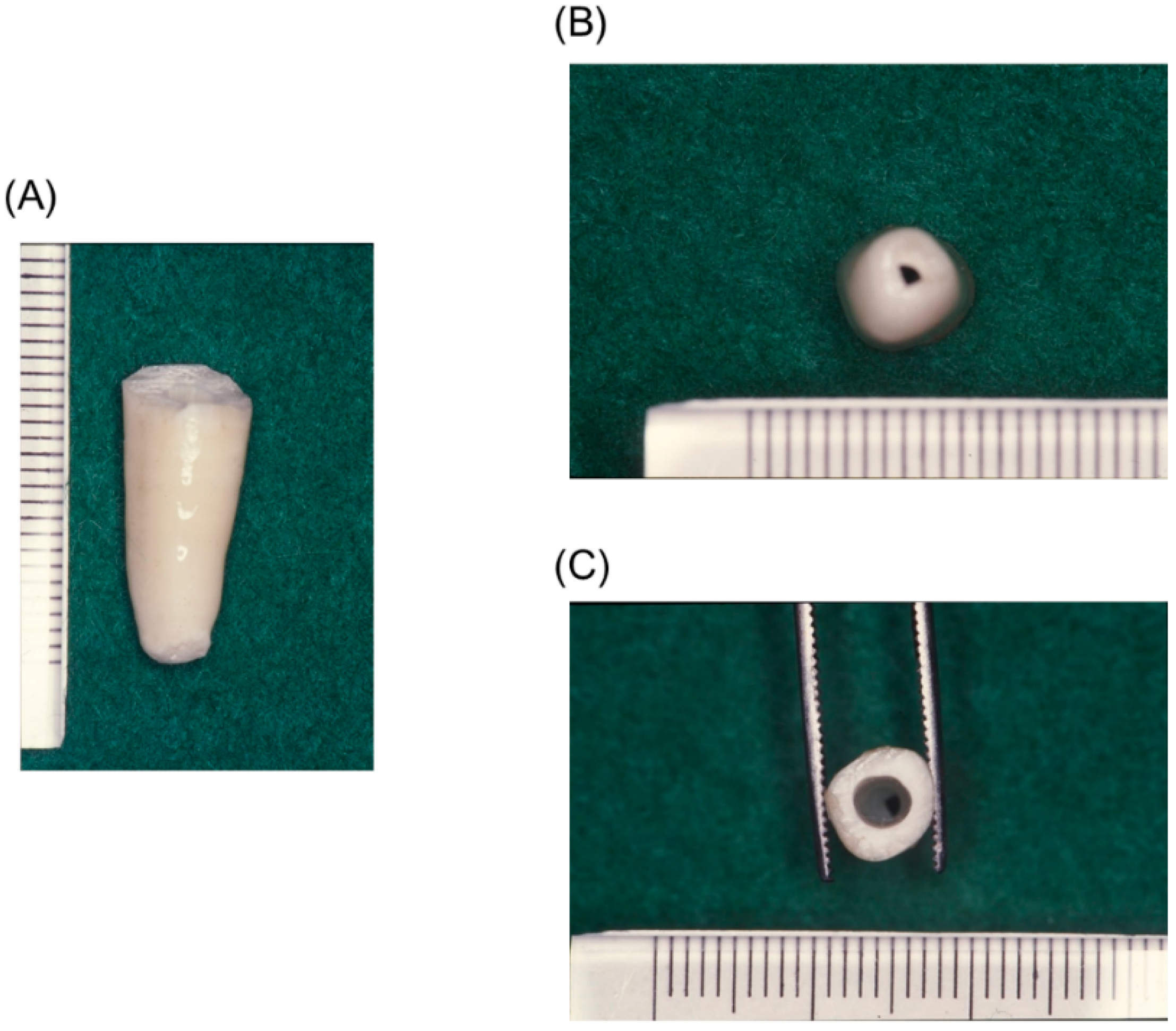 Polymers 07 01512 g005