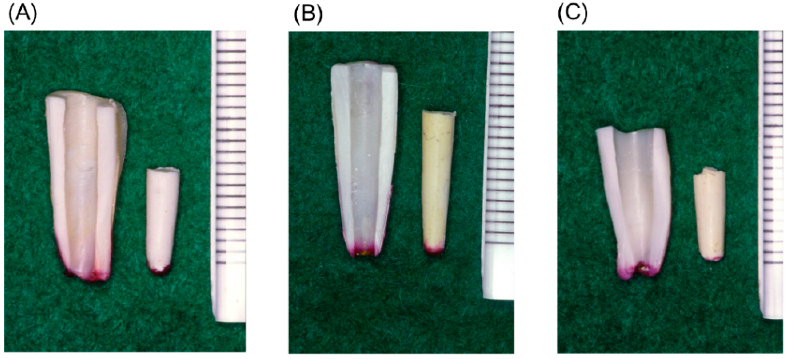 Polymers 07 01512 g015