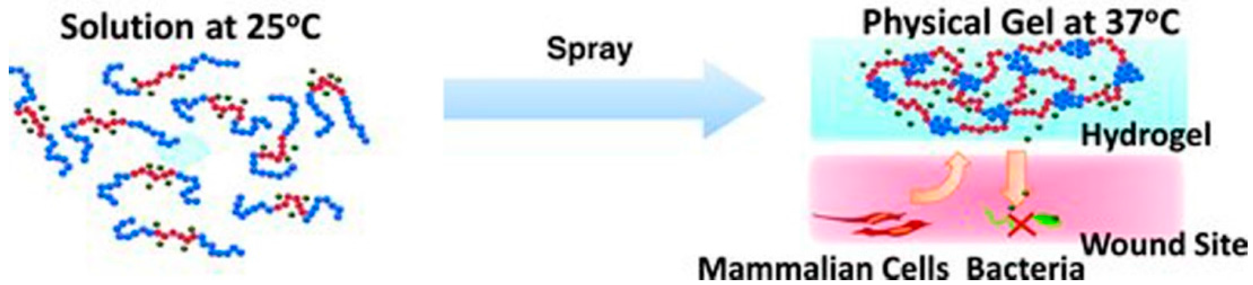 Polymers 07 01518 g002