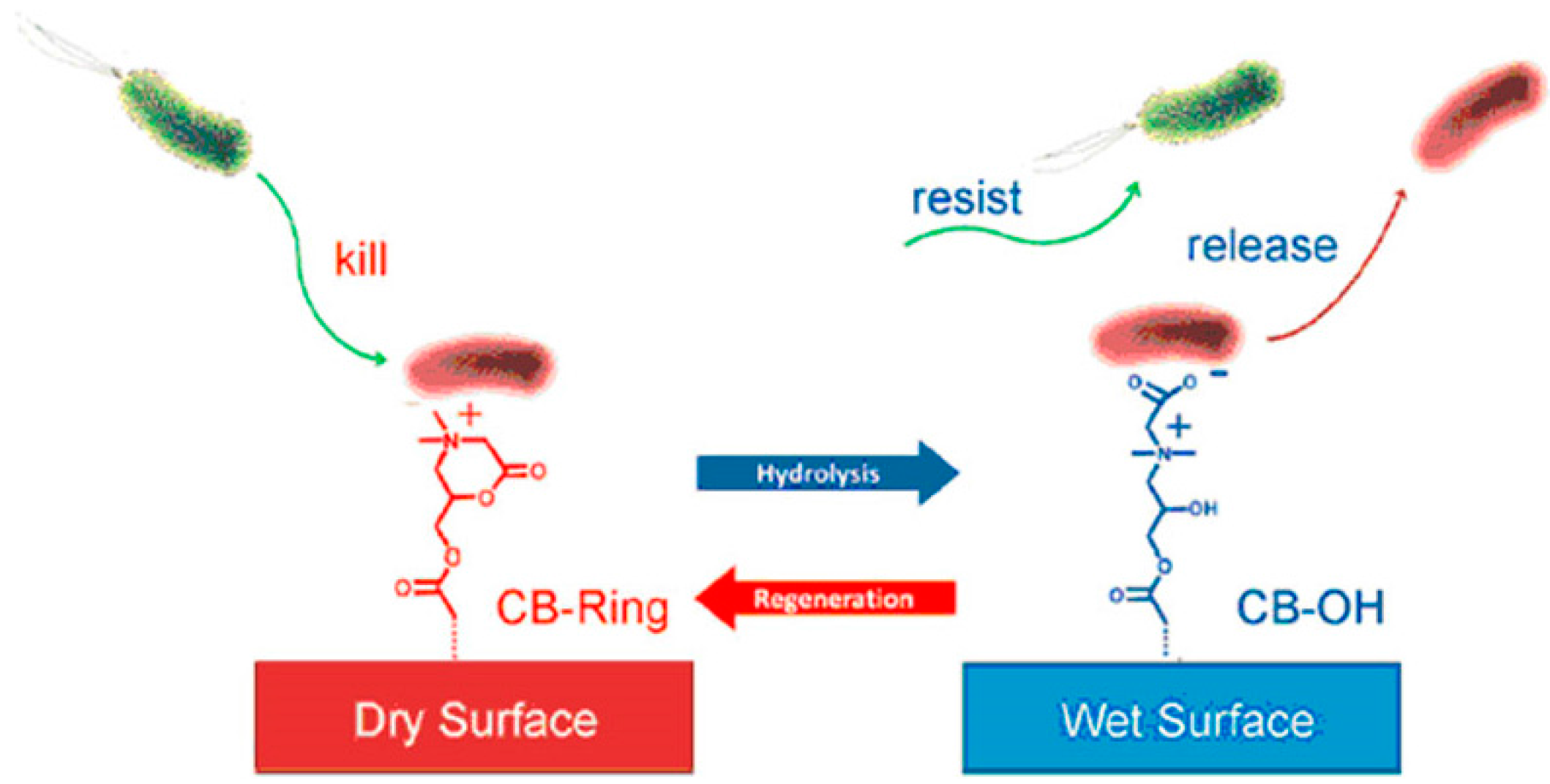 Polymers 07 01518 g008