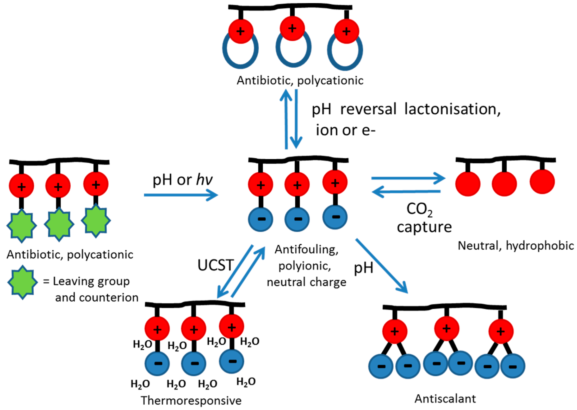 Polymers 07 01518 g014