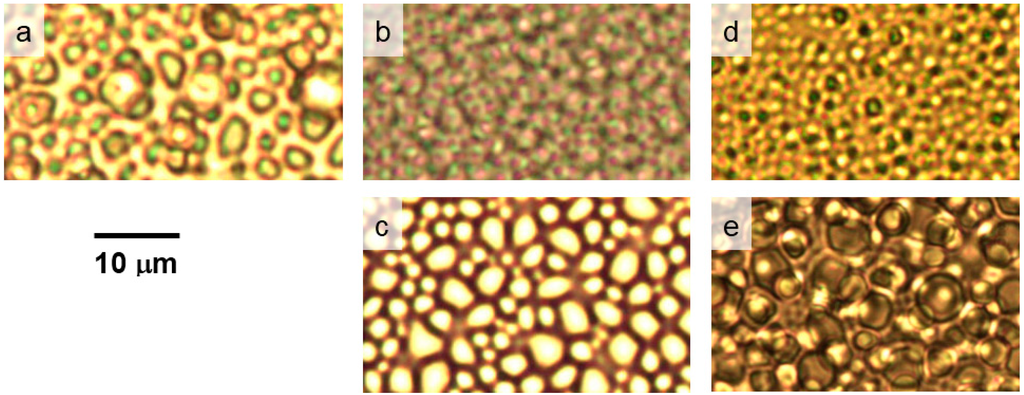 Polymers 07 01533 g009 1024
