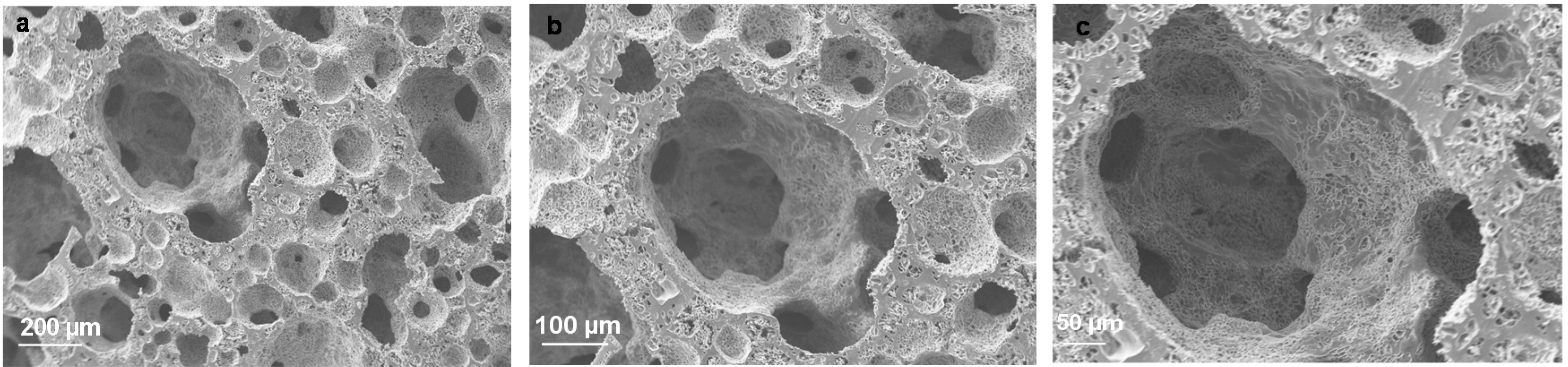 https://www.mdpi.com/polymers/polymers-08-00020/article_deploy/html/images/polymers-08-00020-g002.png