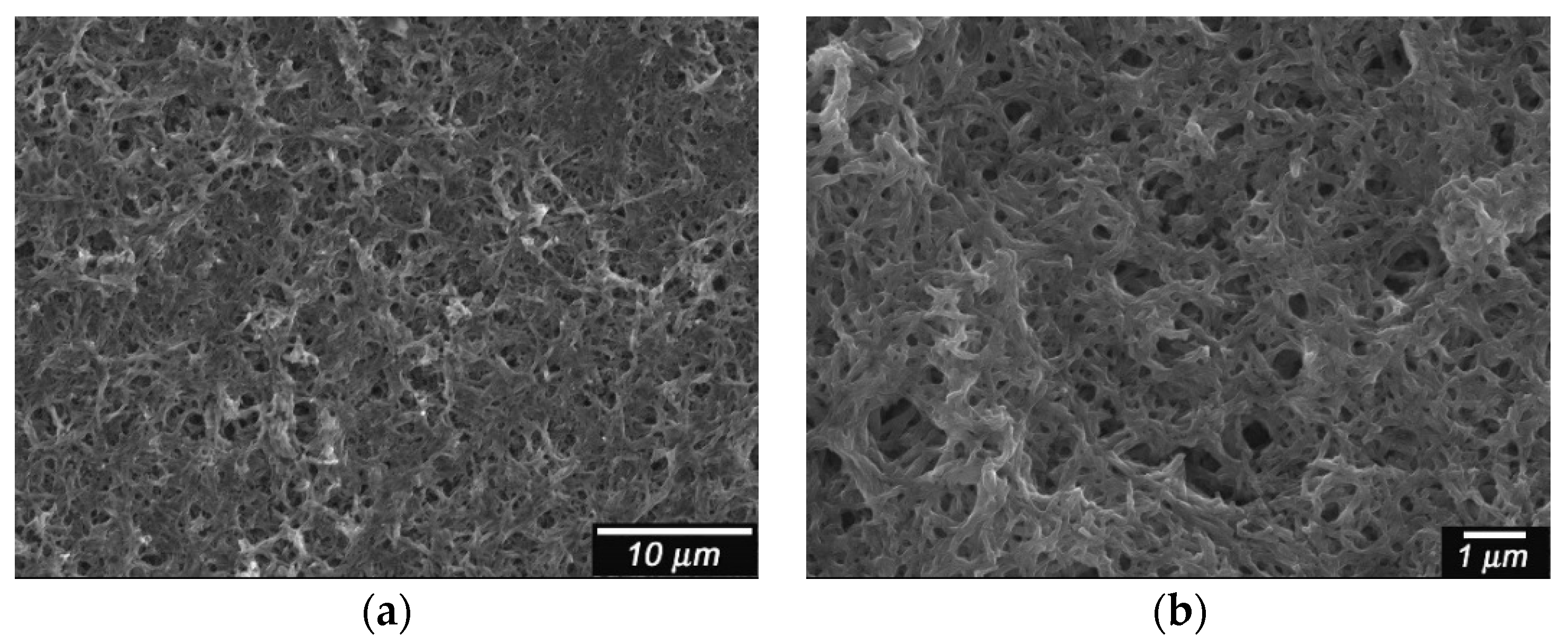 Polymers 08 00034 g003 550