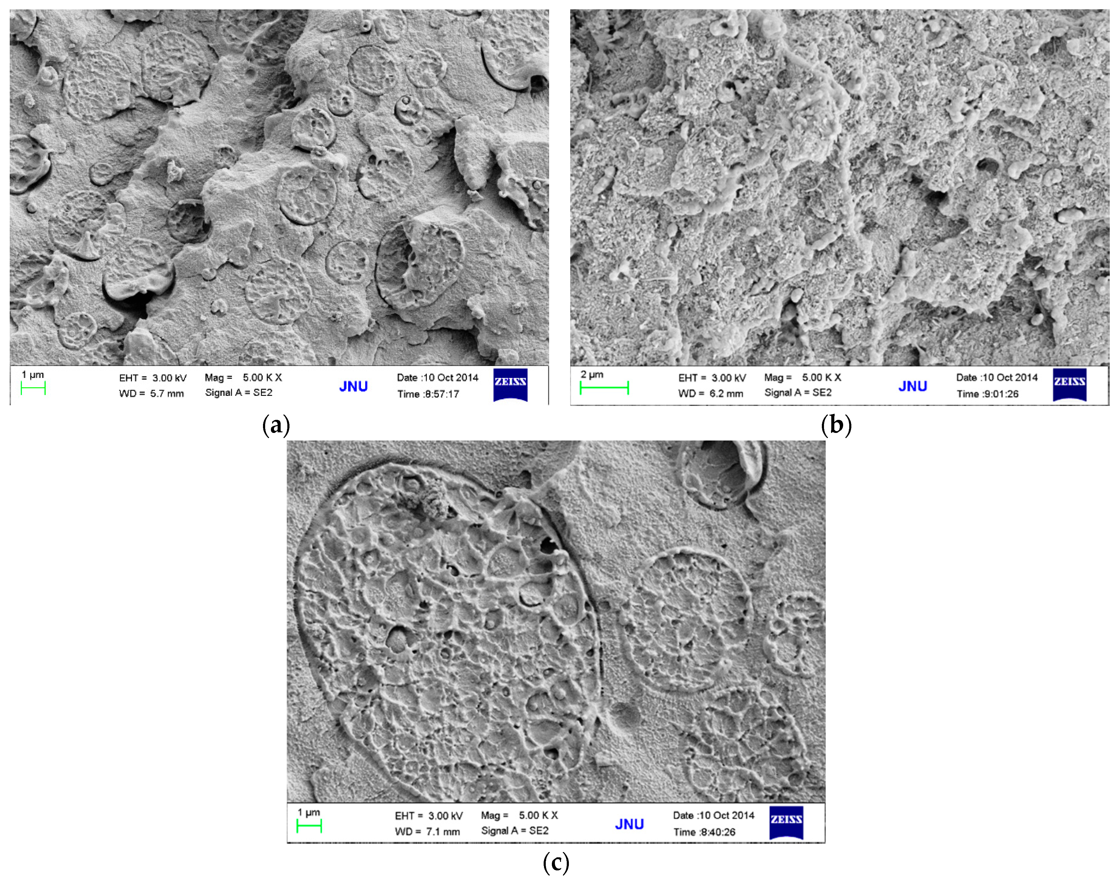 Polymers 08 00050 g003