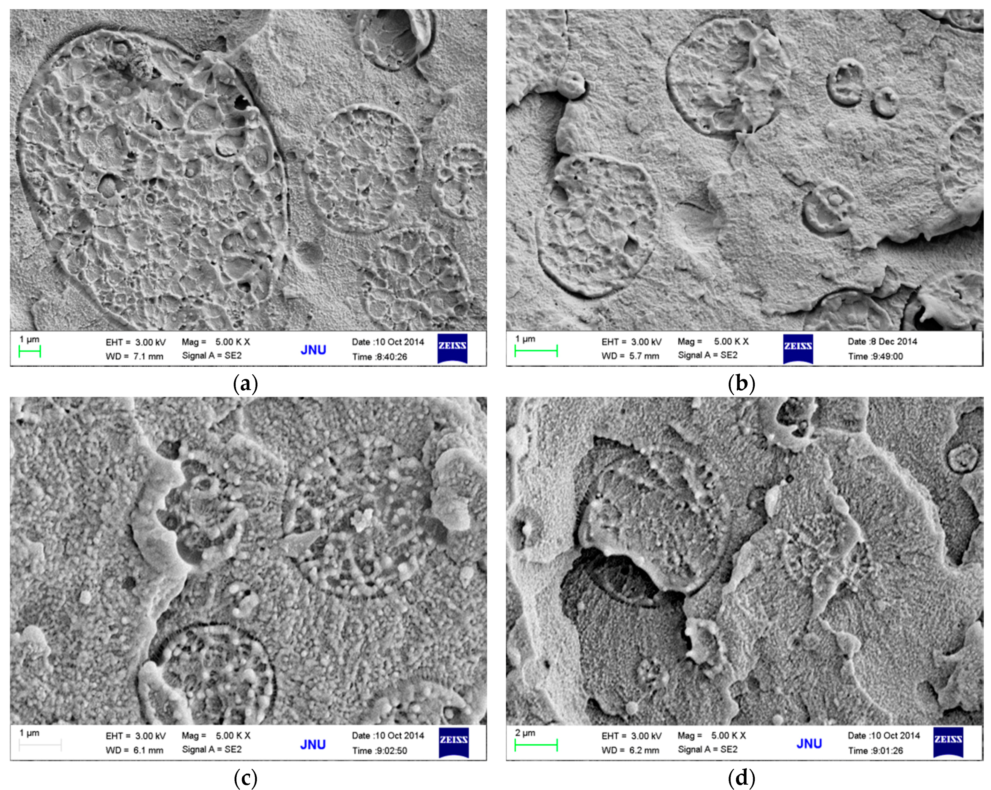 Polymers 08 00050 g008