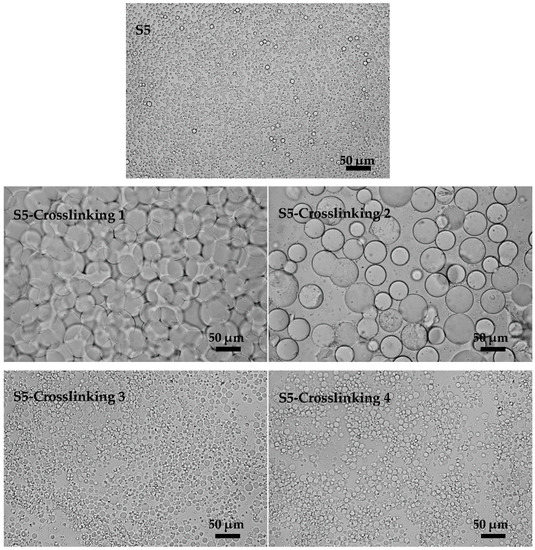 Improved Stability of Emulsions in Preparation of Uniform
