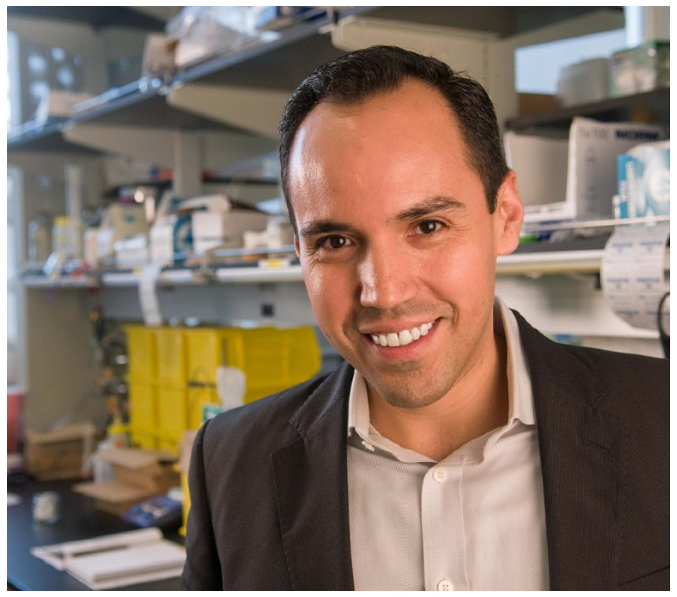 Polymers 08 00065 g001 550