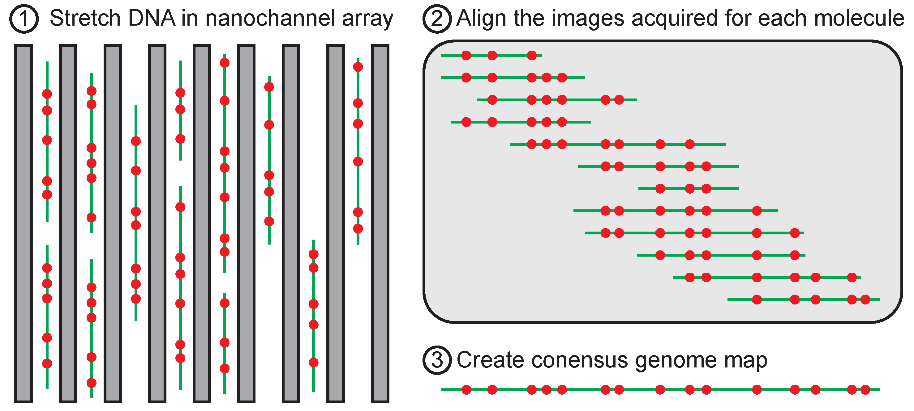 Polymers 08 00079 g006 550