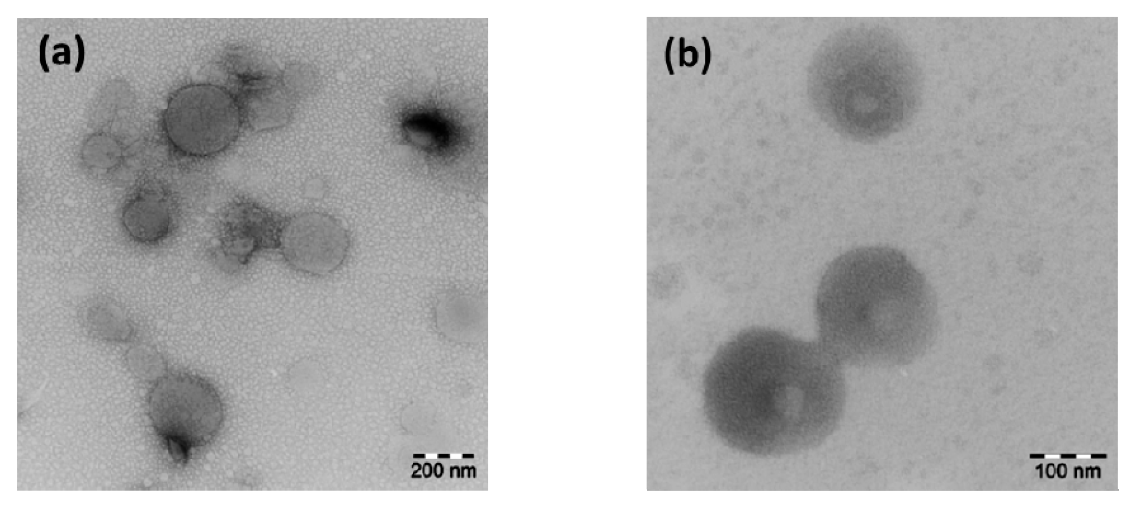 Polymers 08 00080 g006