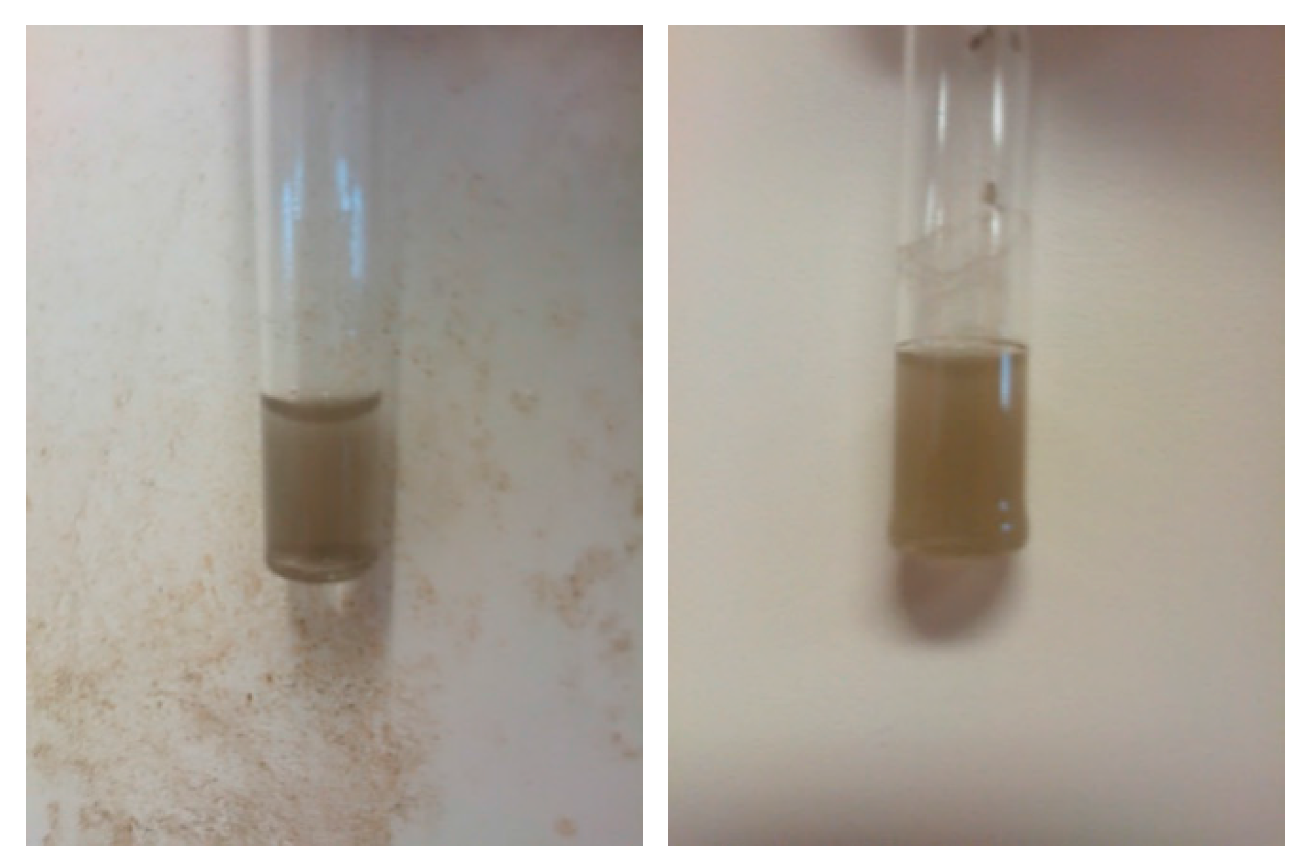 Polymers 08 00081 g005 550