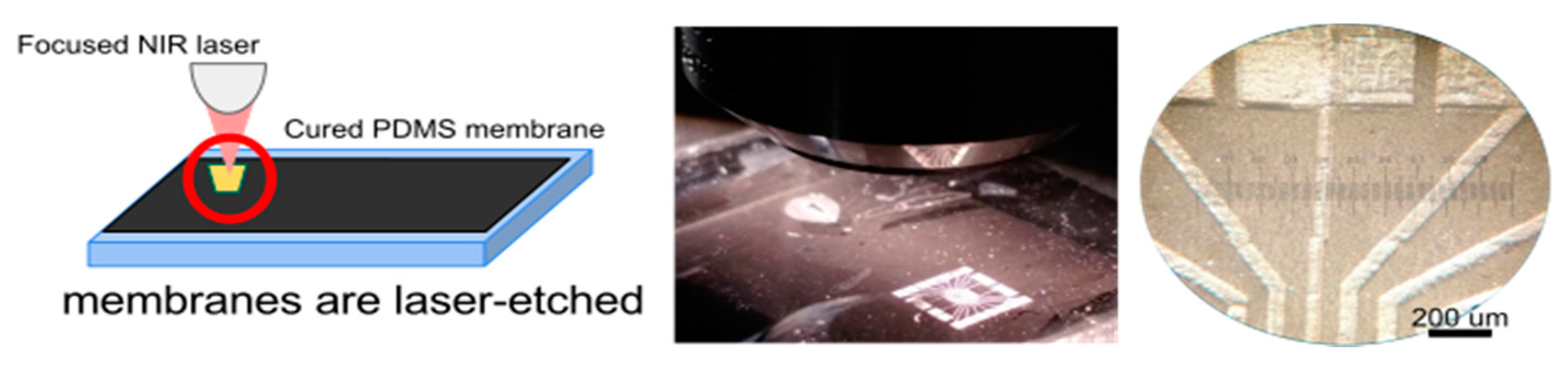 Polymers 08 00084 g010