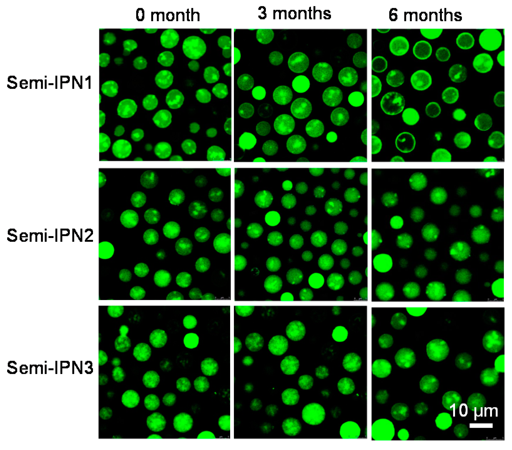 Polymers 08 00090 g011