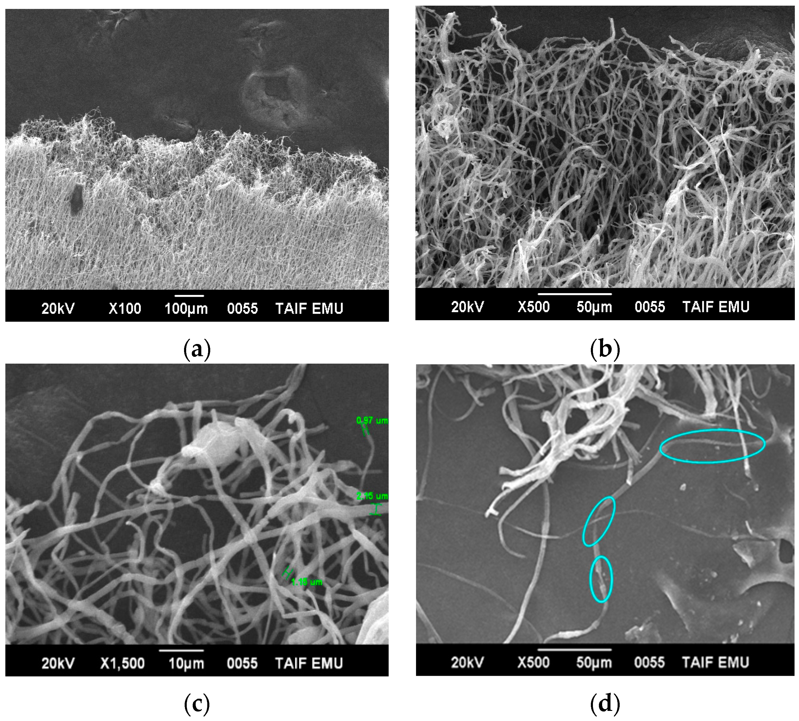 Polymers 08 00097 g006