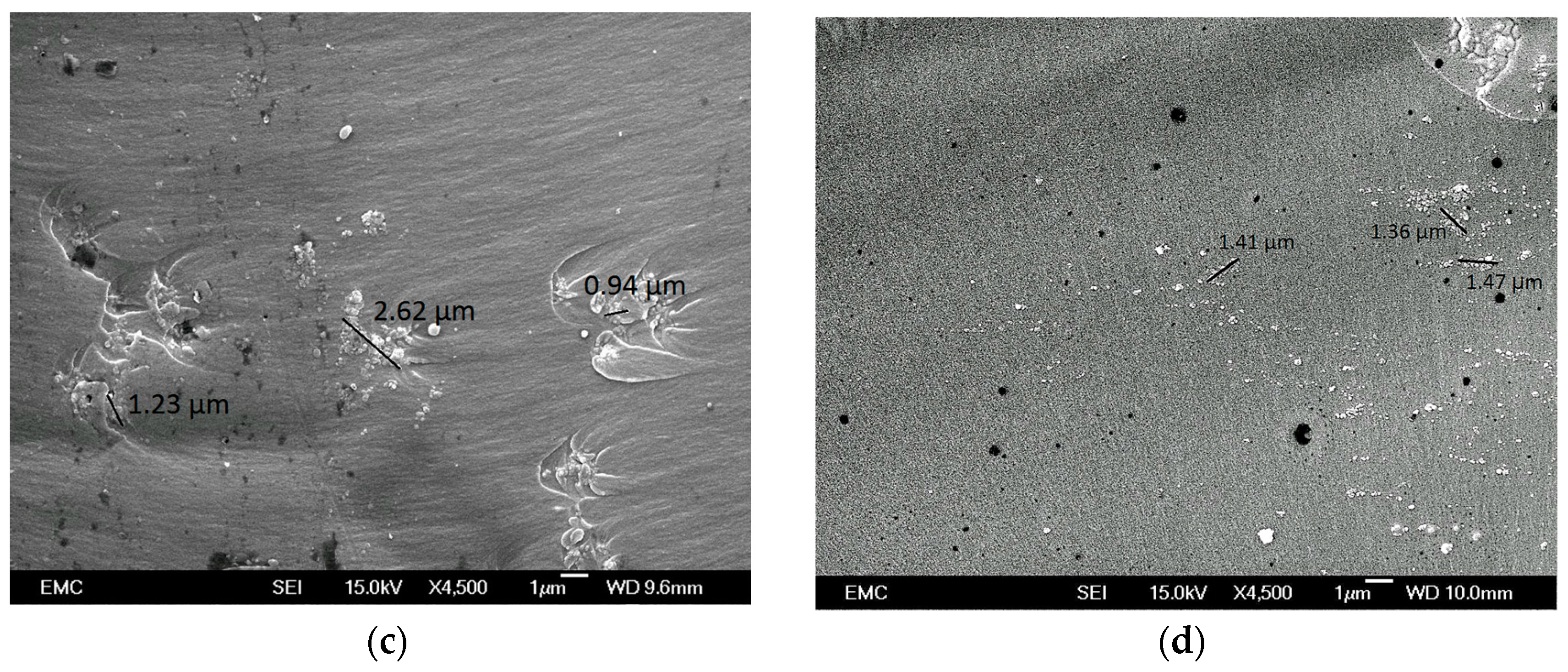 Polymers 08 00126 g003b