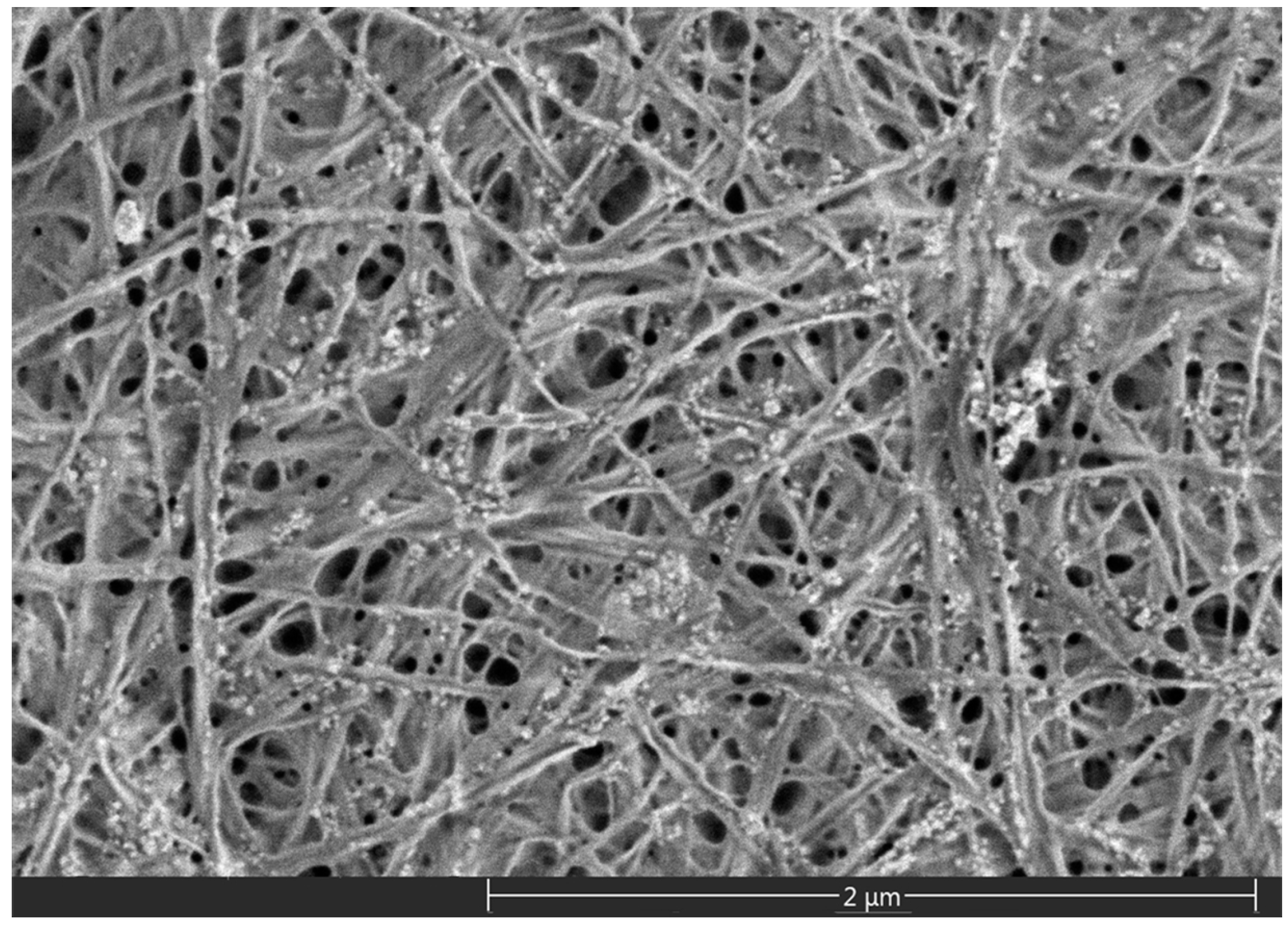 Polymers 08 00129 g001 550
