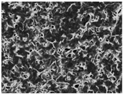 Polymers 08 00130 i002