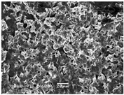 Polymers 08 00130 i003