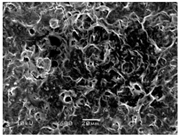 Polymers 08 00130 i004
