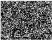 Polymers 08 00130 i006