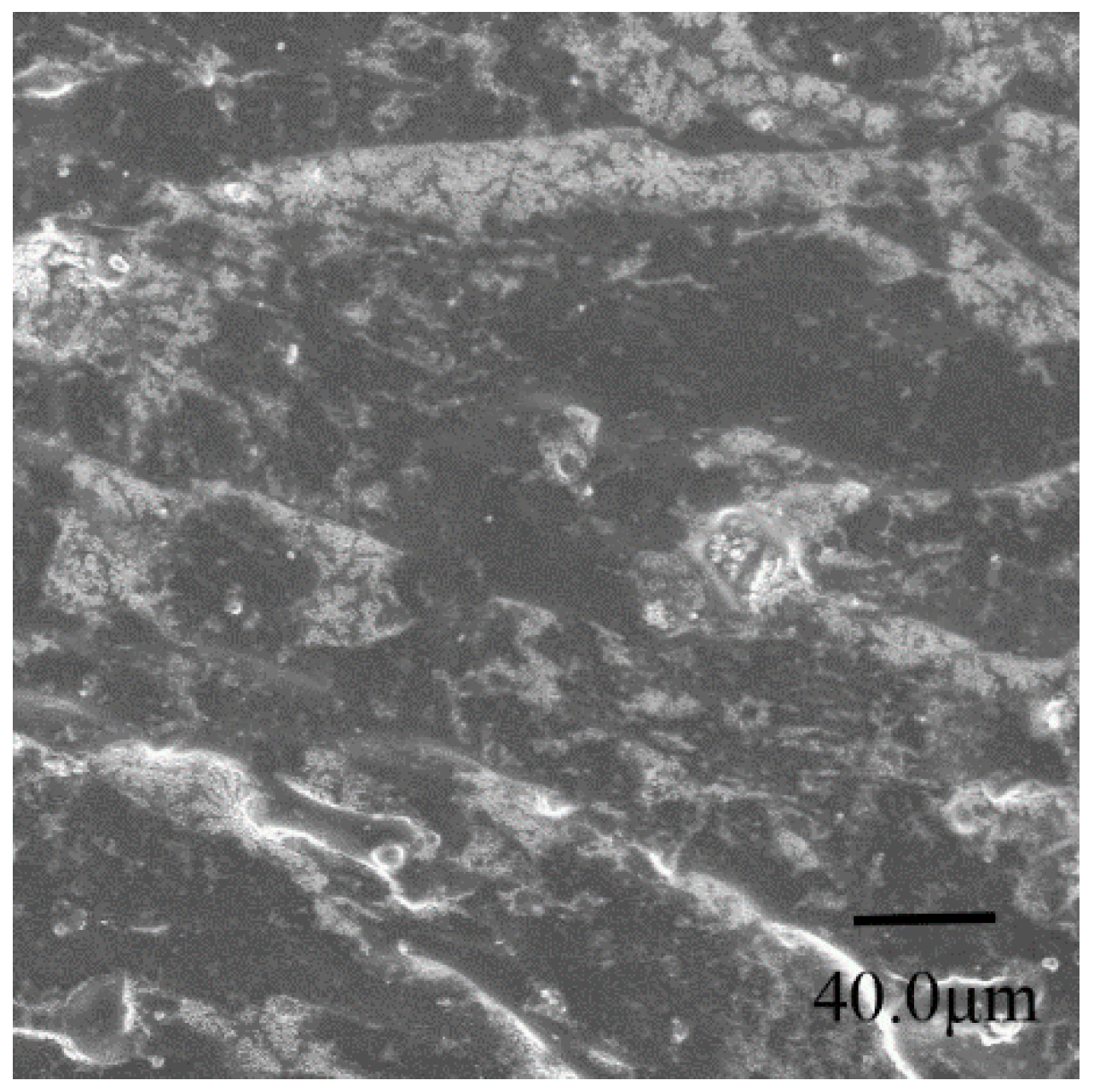 Polymers 08 00133 g001