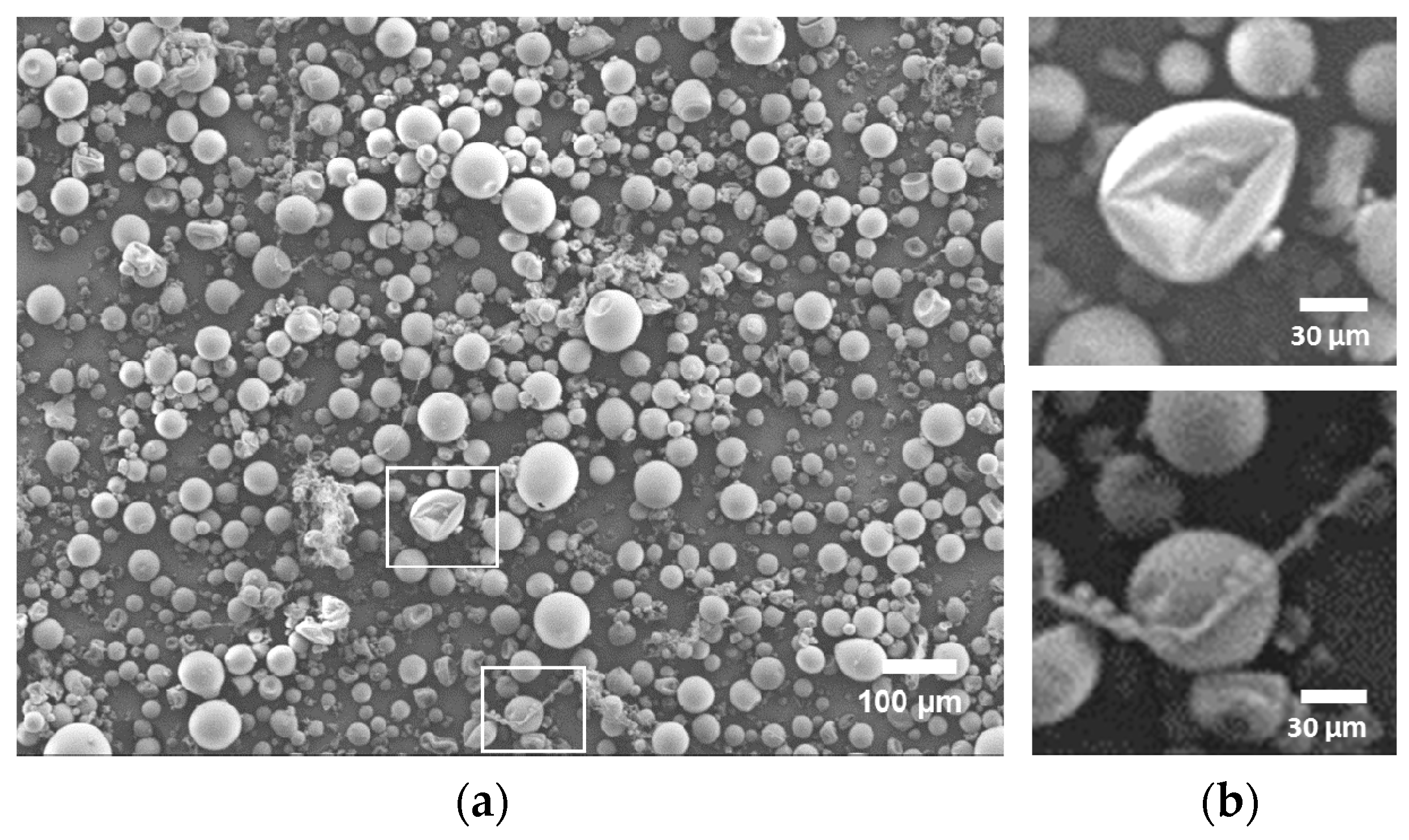 Polymers 08 00150 g002